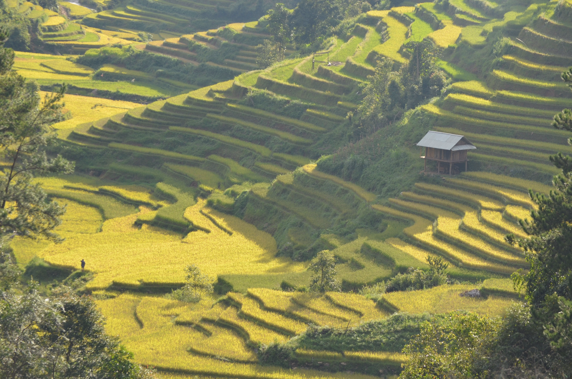 Découverte en profondeur au Vietnam