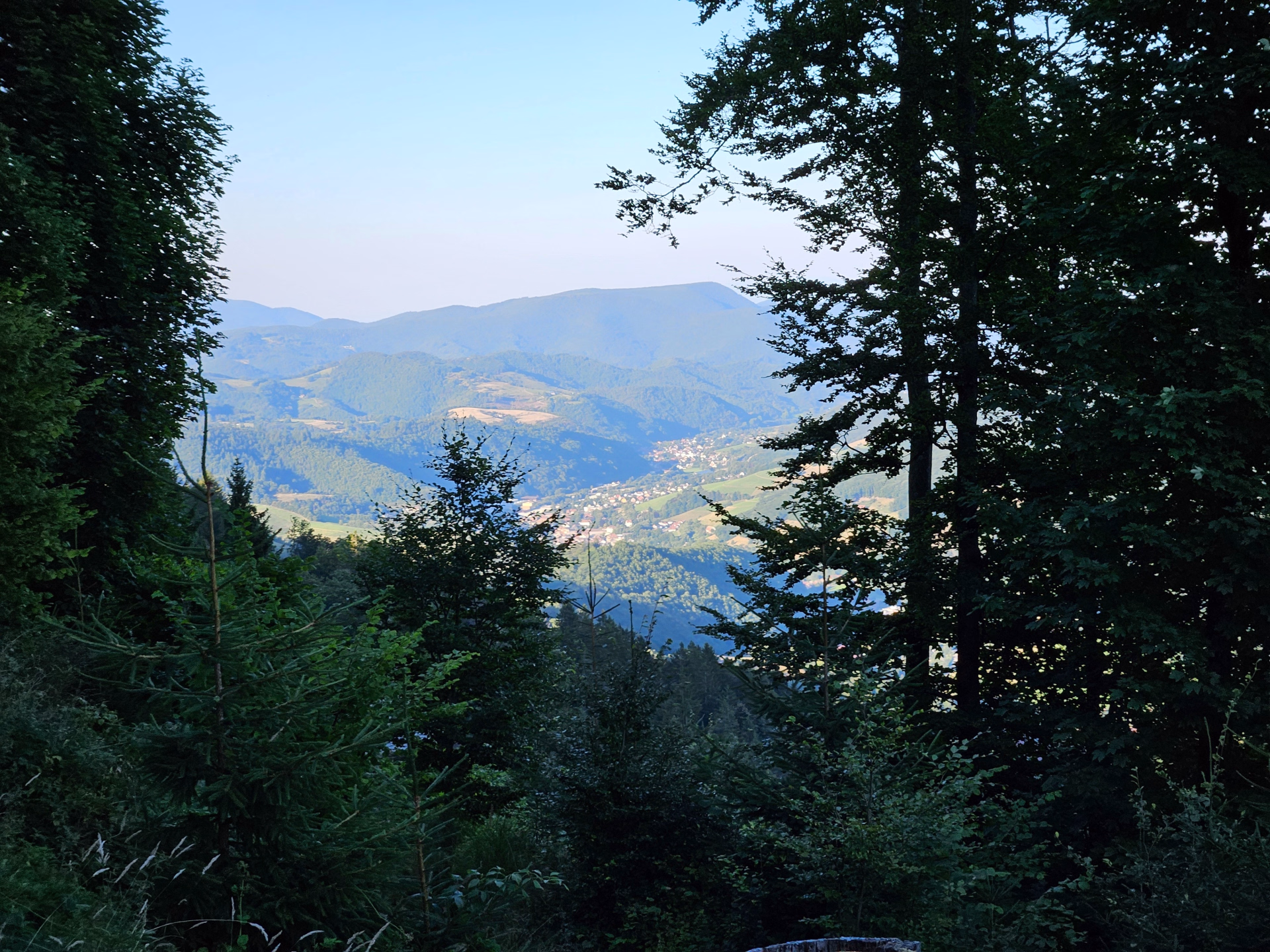 5 jours à cheval au cœur des Vosges sauvages
