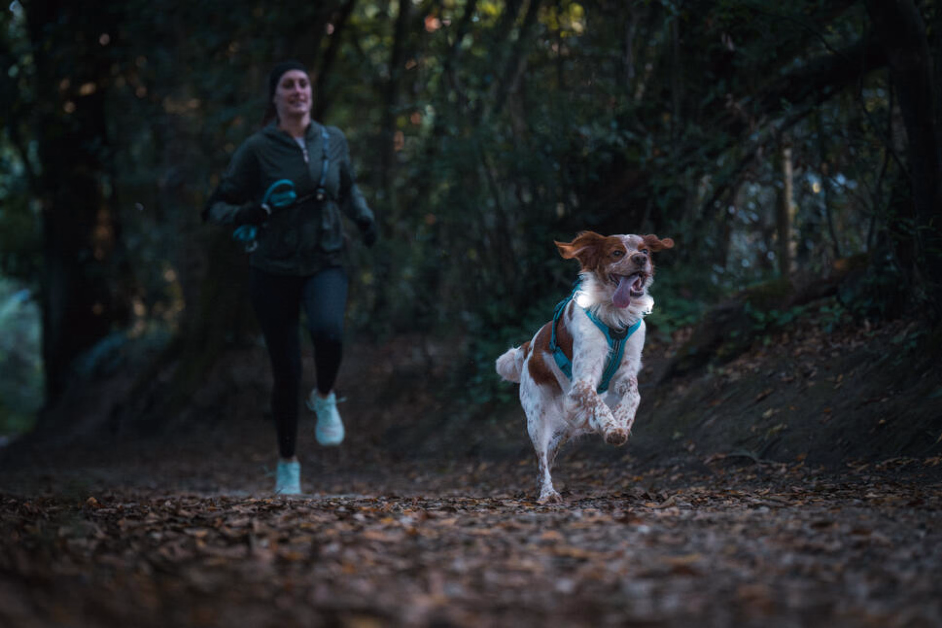 séjour avec son chien