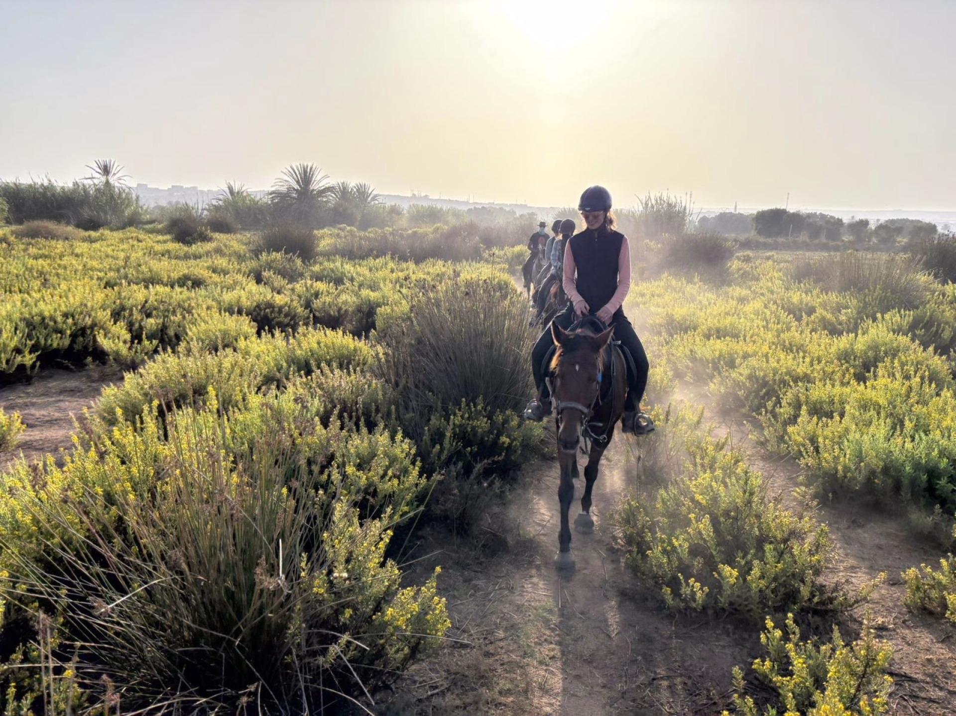 Le Grand Sud Marocain à Cheval : sur les Traces des Nomades Berbères