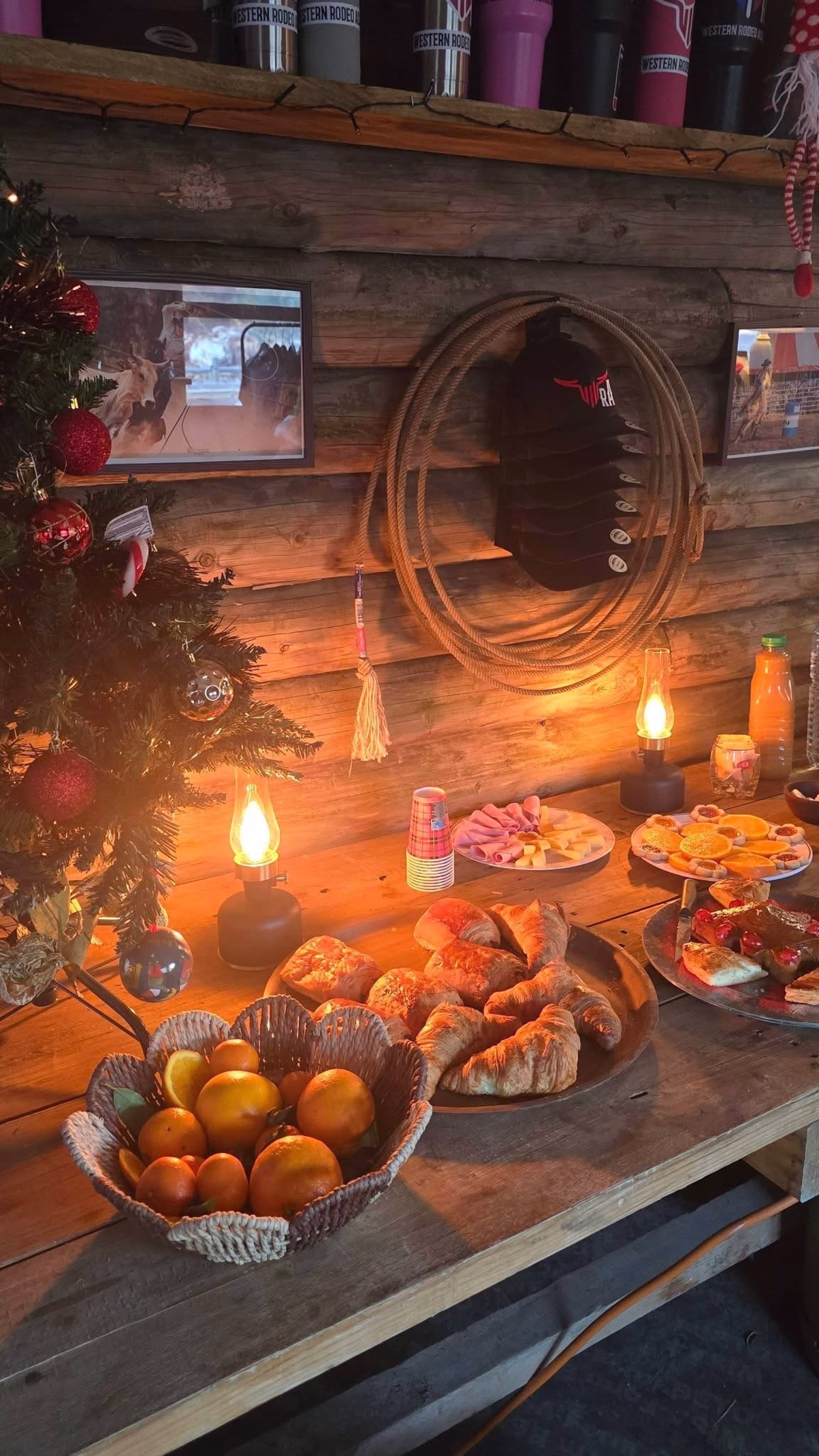 Immersion totale en ranch western en Provence verte