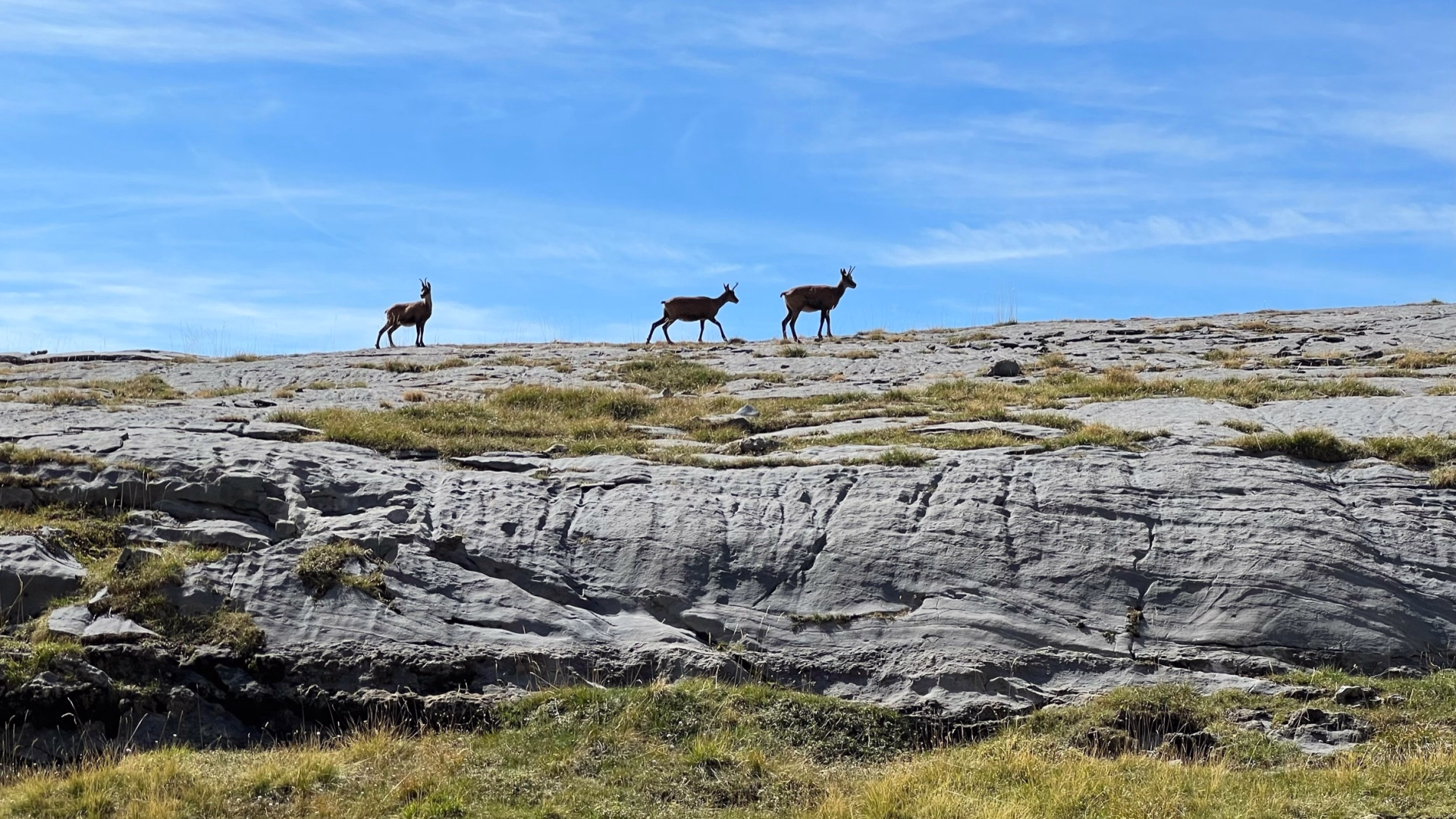 Le Tour du Vignemale, trek insolite entre France et Espagne