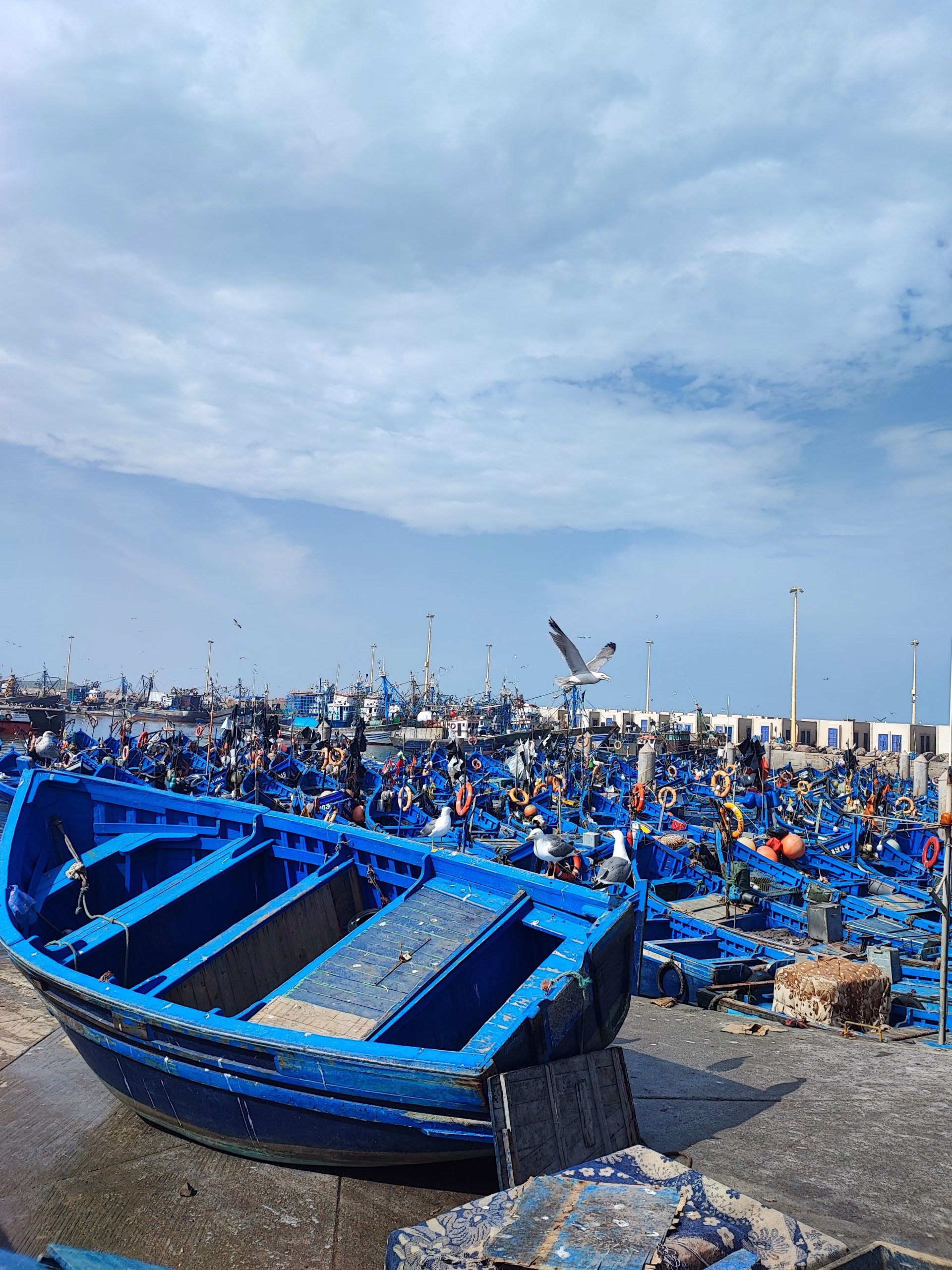 Yoga, Méditation & Bien-être à Essaouira