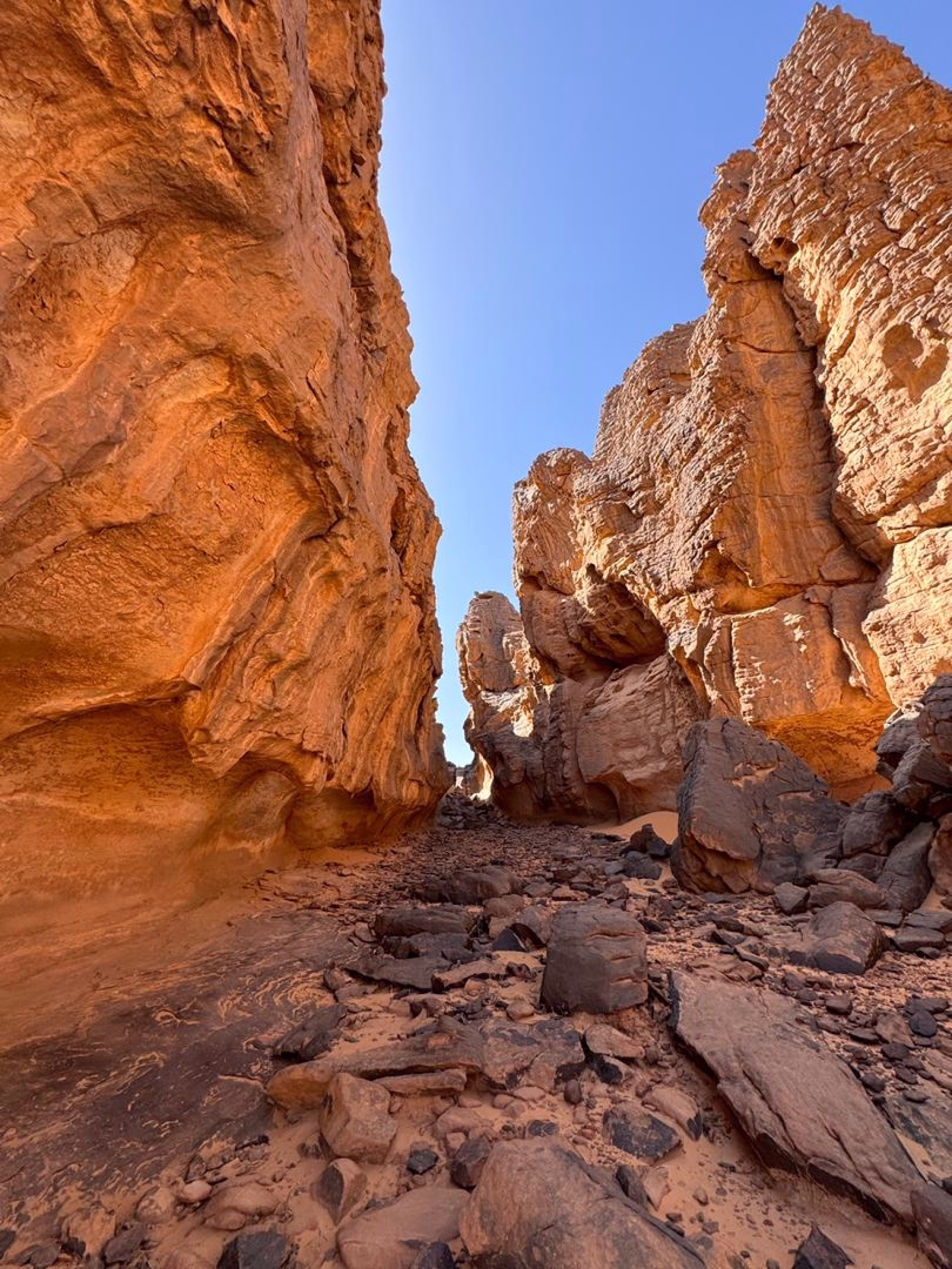 Trek saharien au plateau de Sefar à Djanet