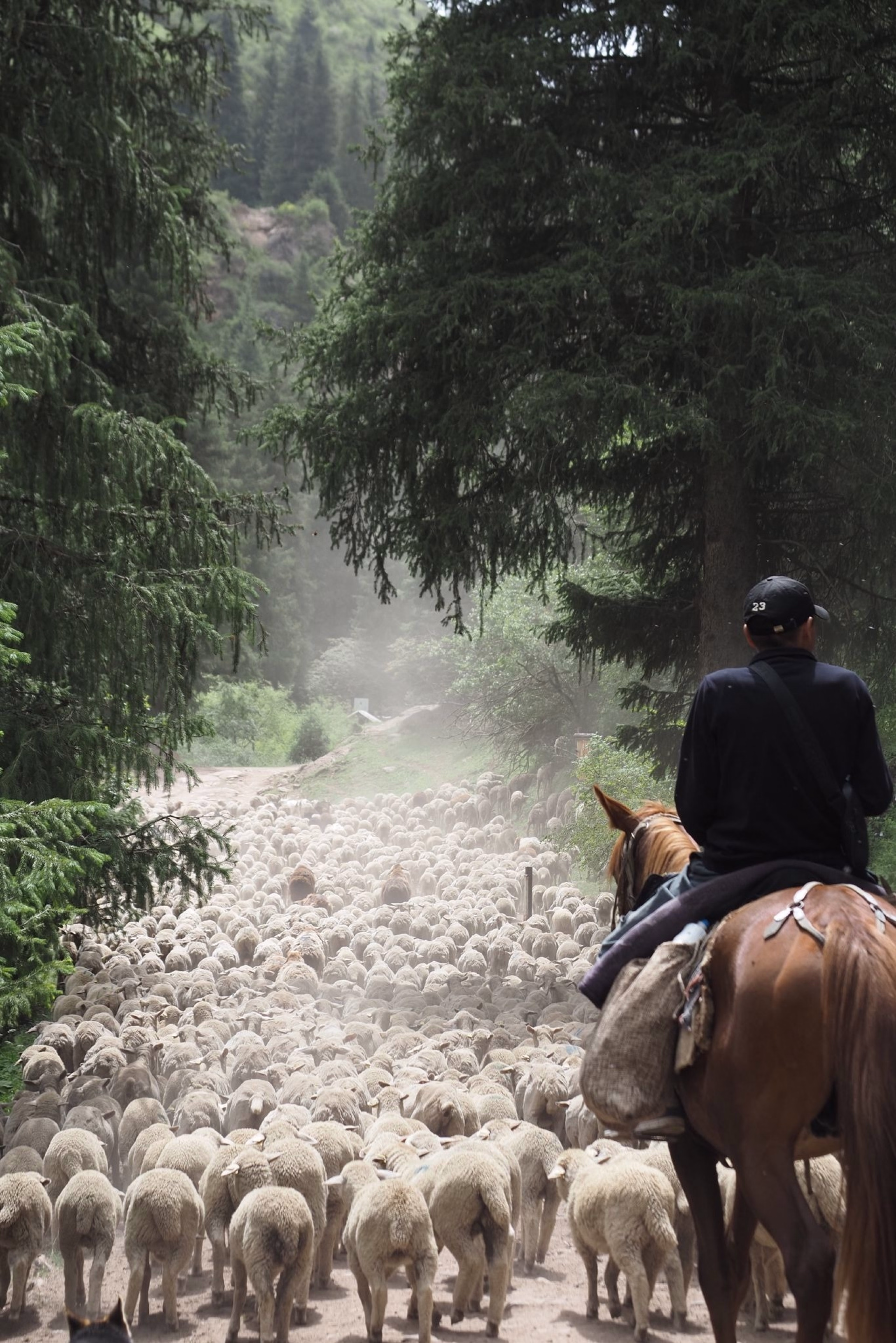 Chevauchée nomade au Kirghizistan entre lacs et hauts plateaux