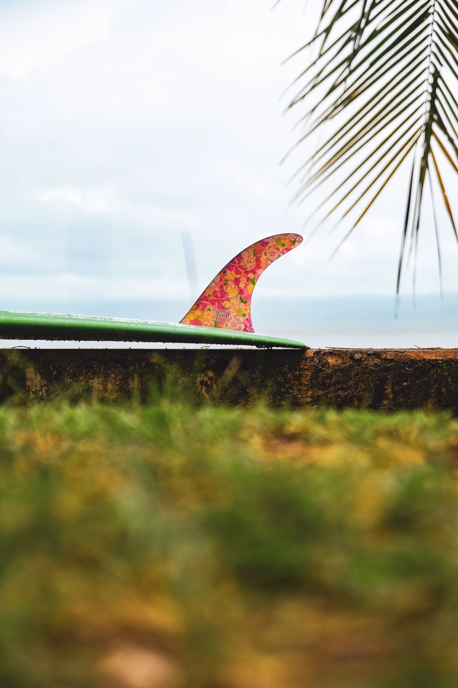 Planche de surf au Cap-Vert © Planche de surf au Cap-Vert