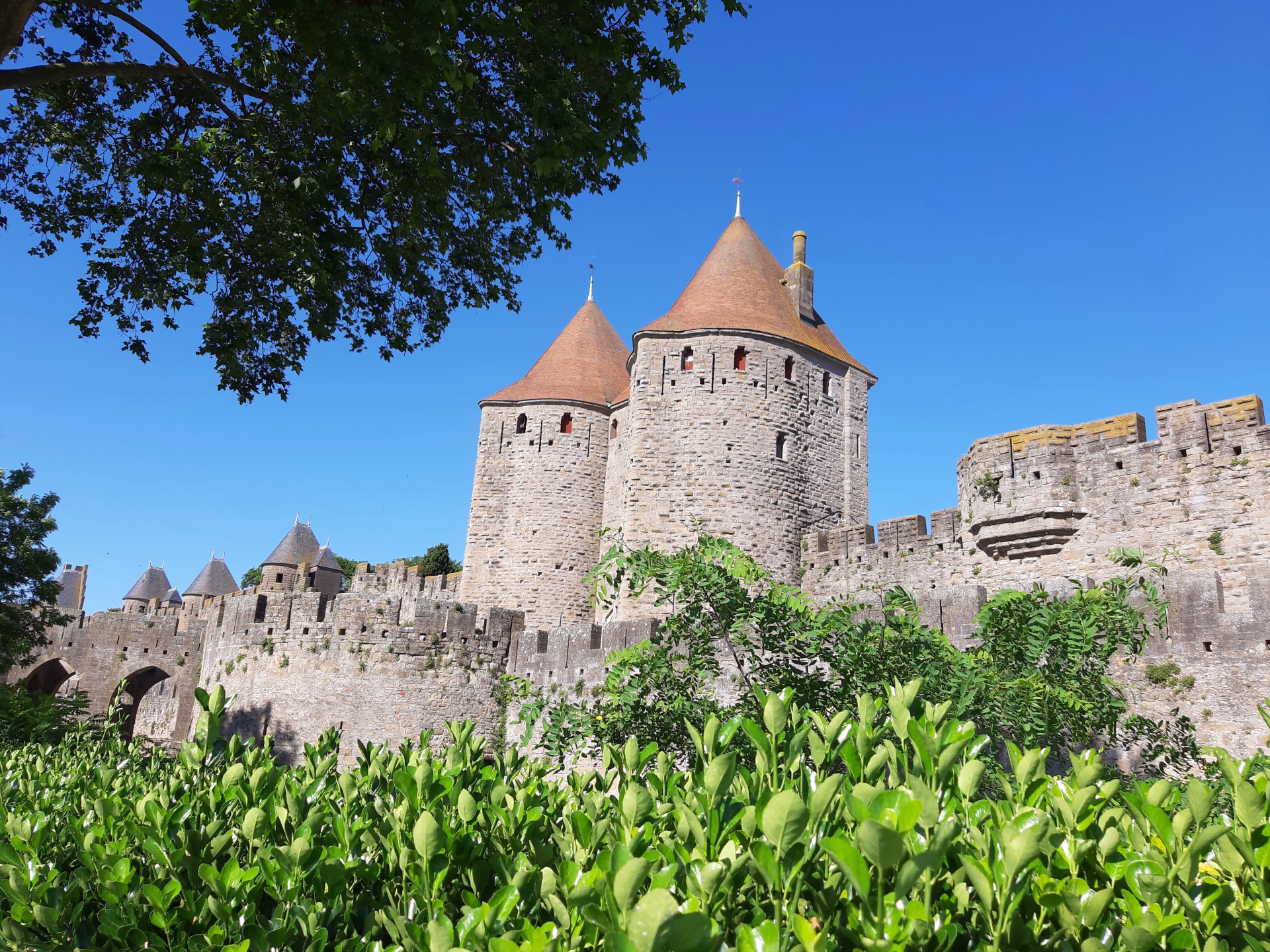 Réveillon à Carcassonne entre Corbières, Minervois et Cabardès