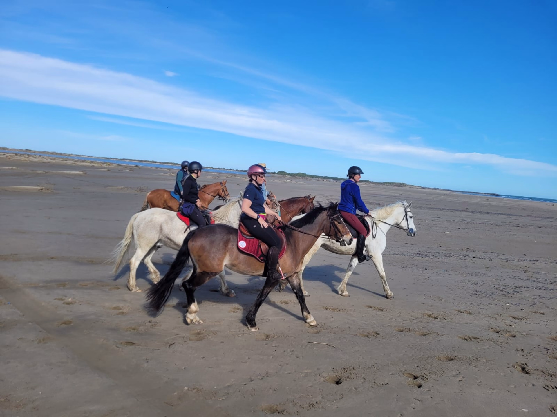 Séjour à cheval en Camargue entre nature et grands espaces