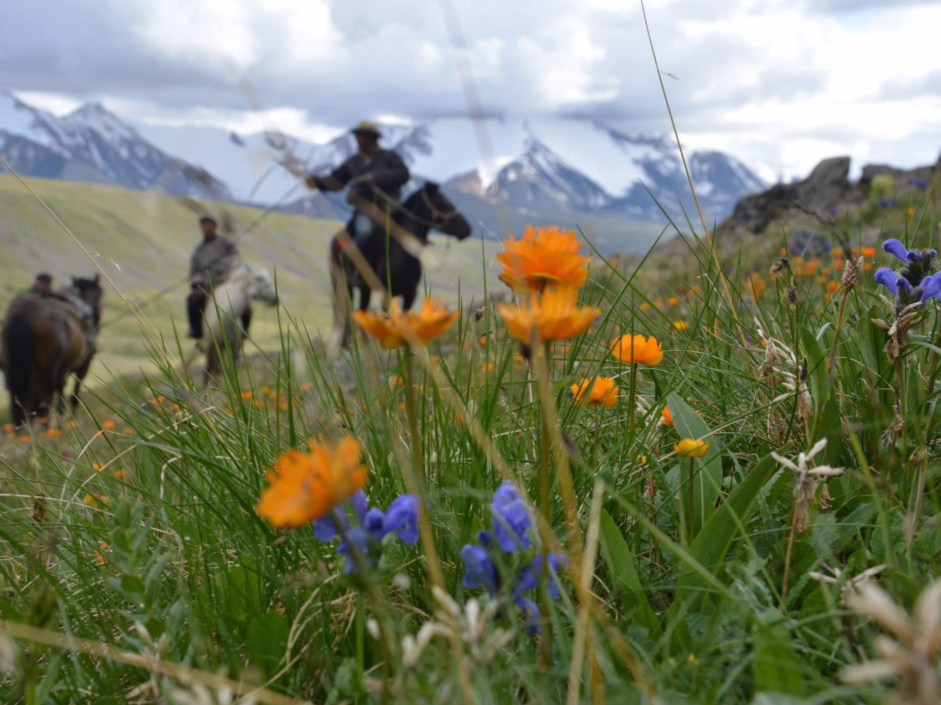 Randonnée à cheval en Mongolie