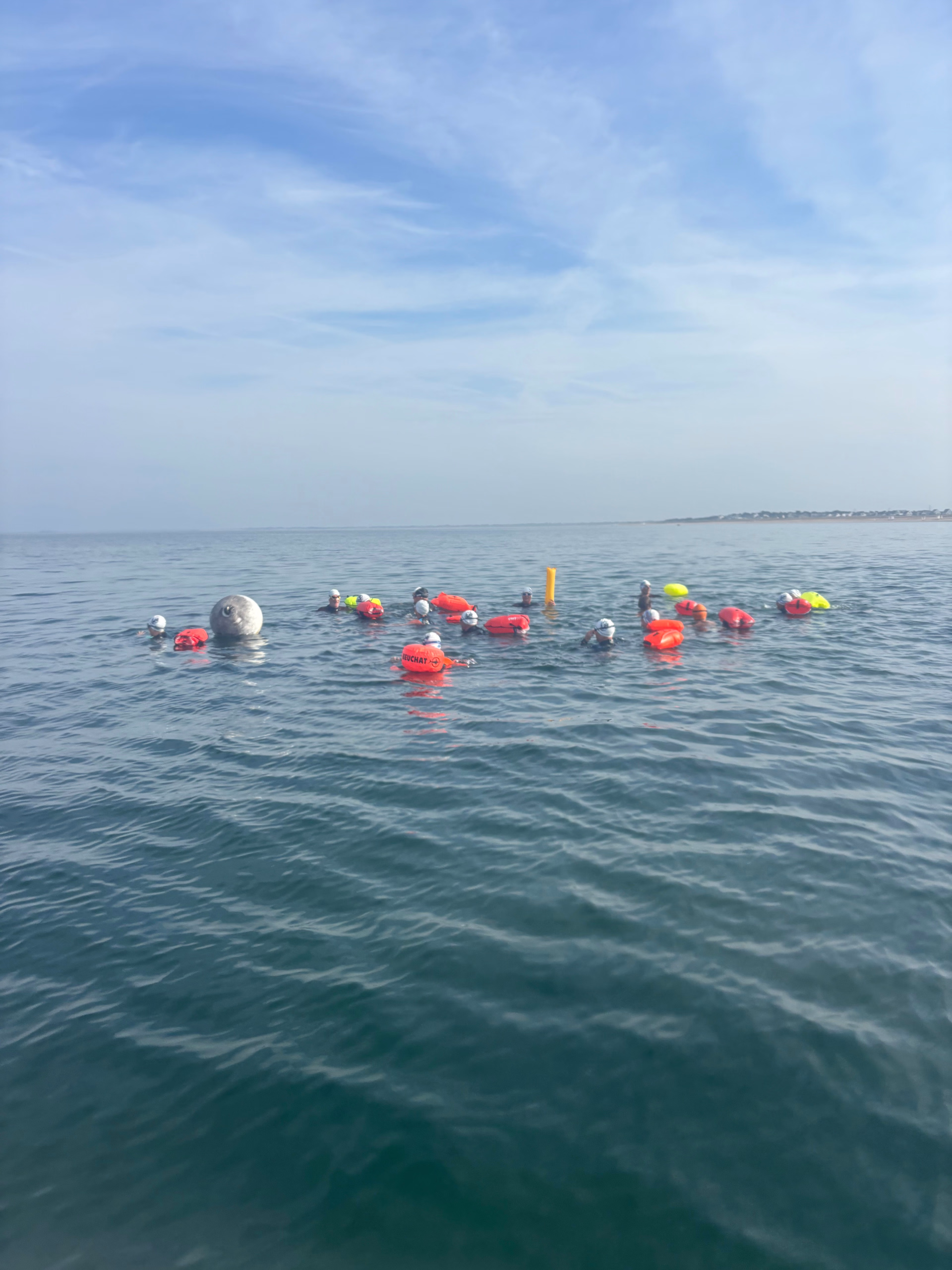 Natation en eau libre et progression technique à Quiberon