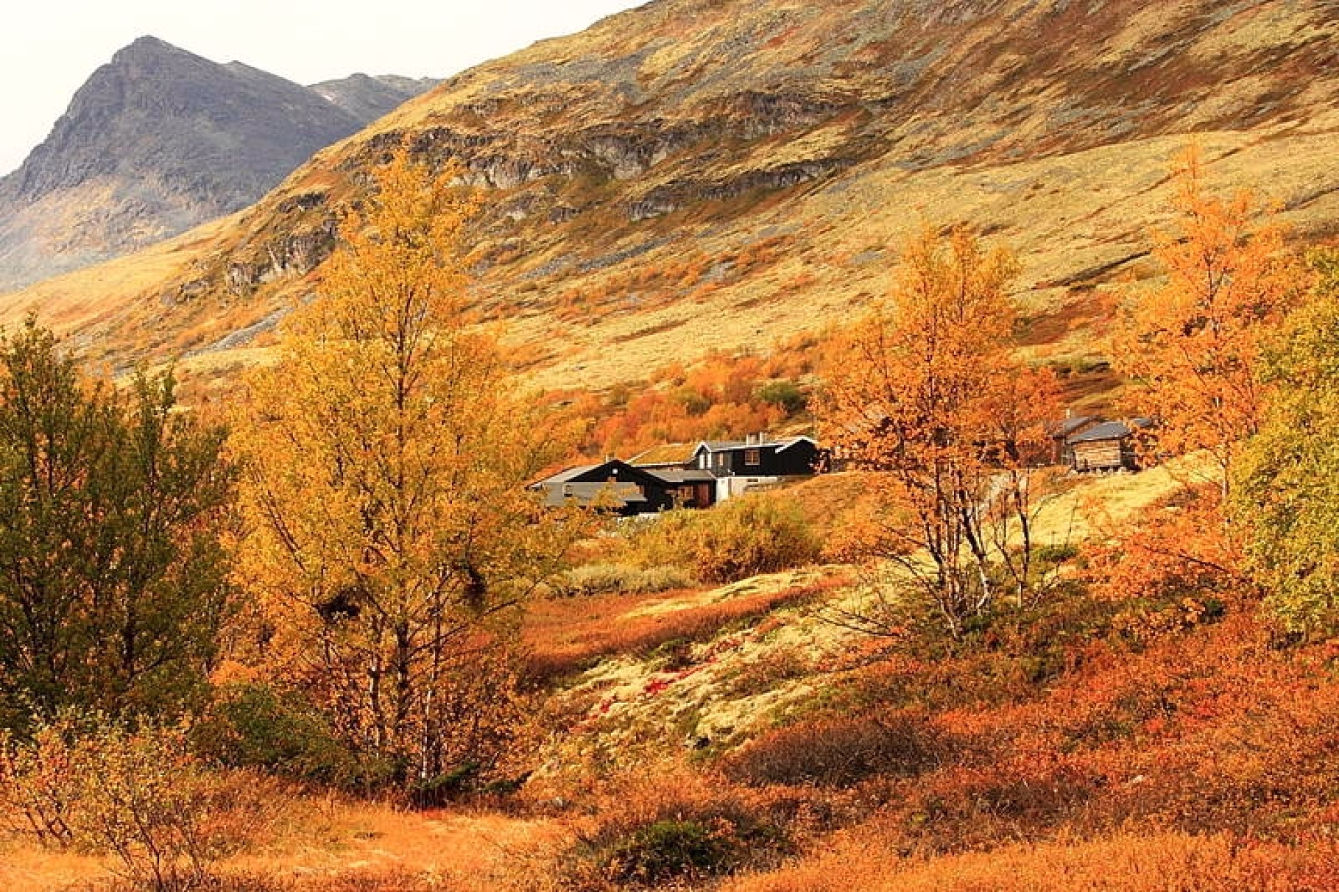 🏔️ Refuge - Jour 4