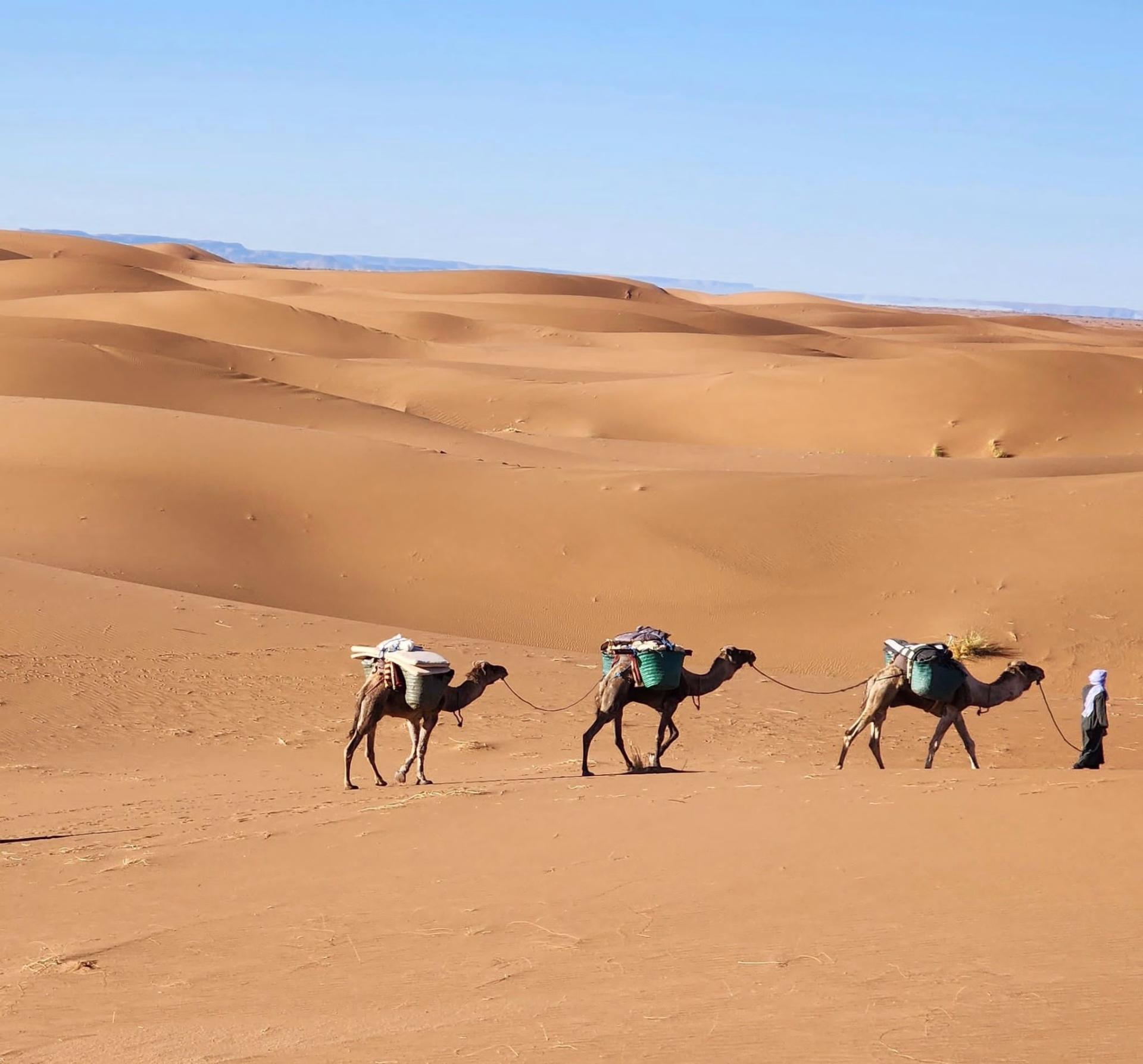 6 jours de voyage à pied dans le désert marocain