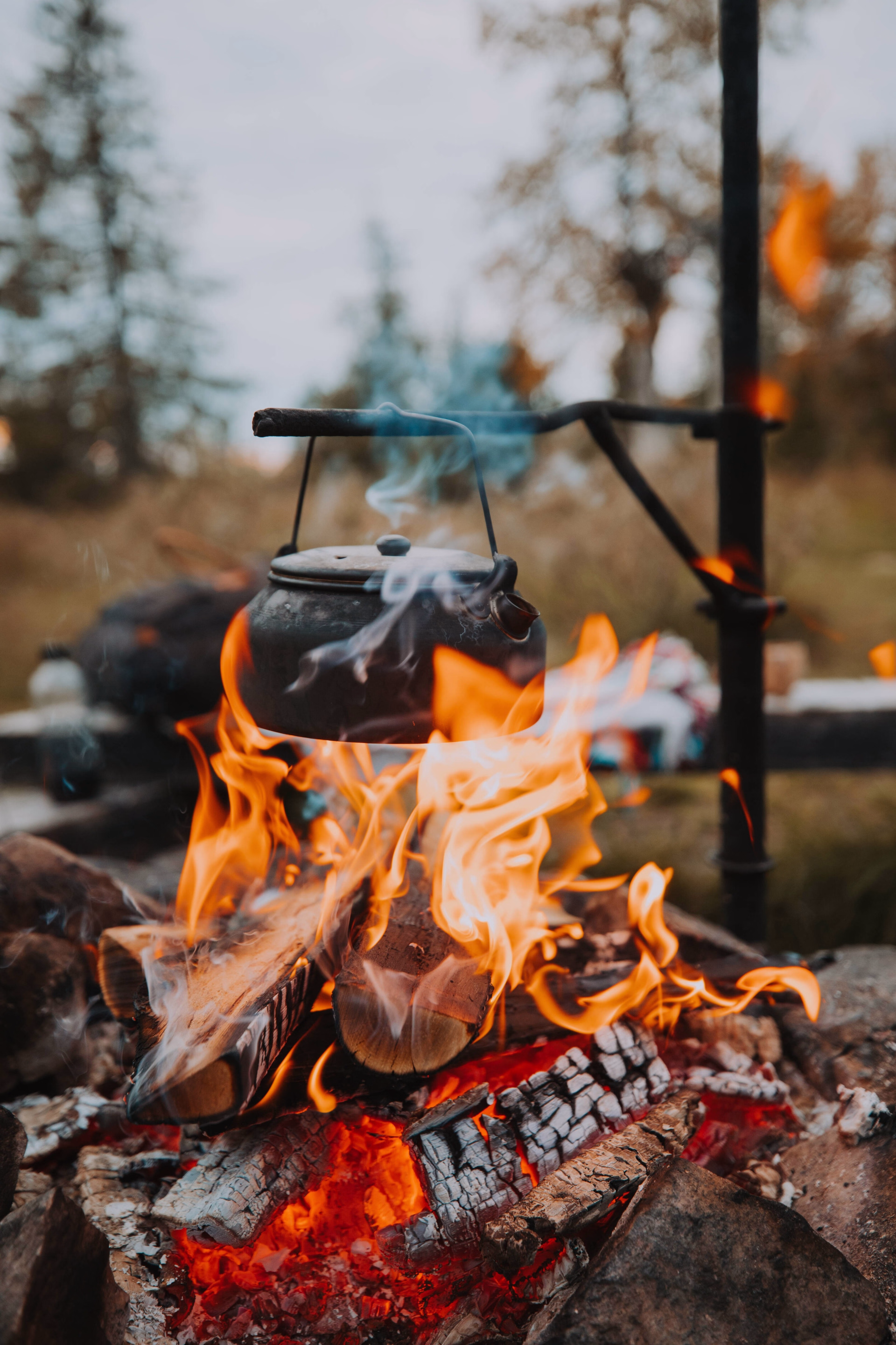 Évasion en Finlande : Nature, Action & Authenticité