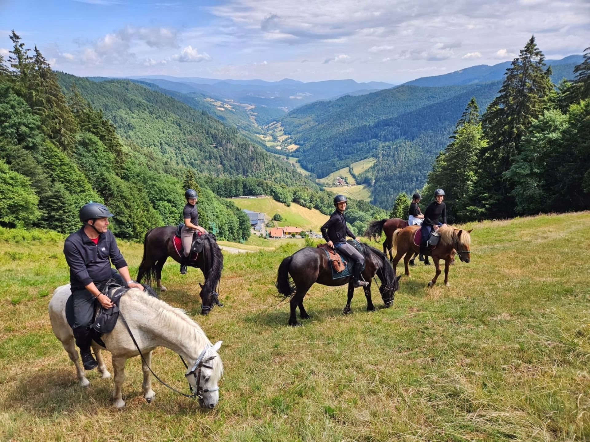 Stage équitation multi-activités au coeur des Vosges