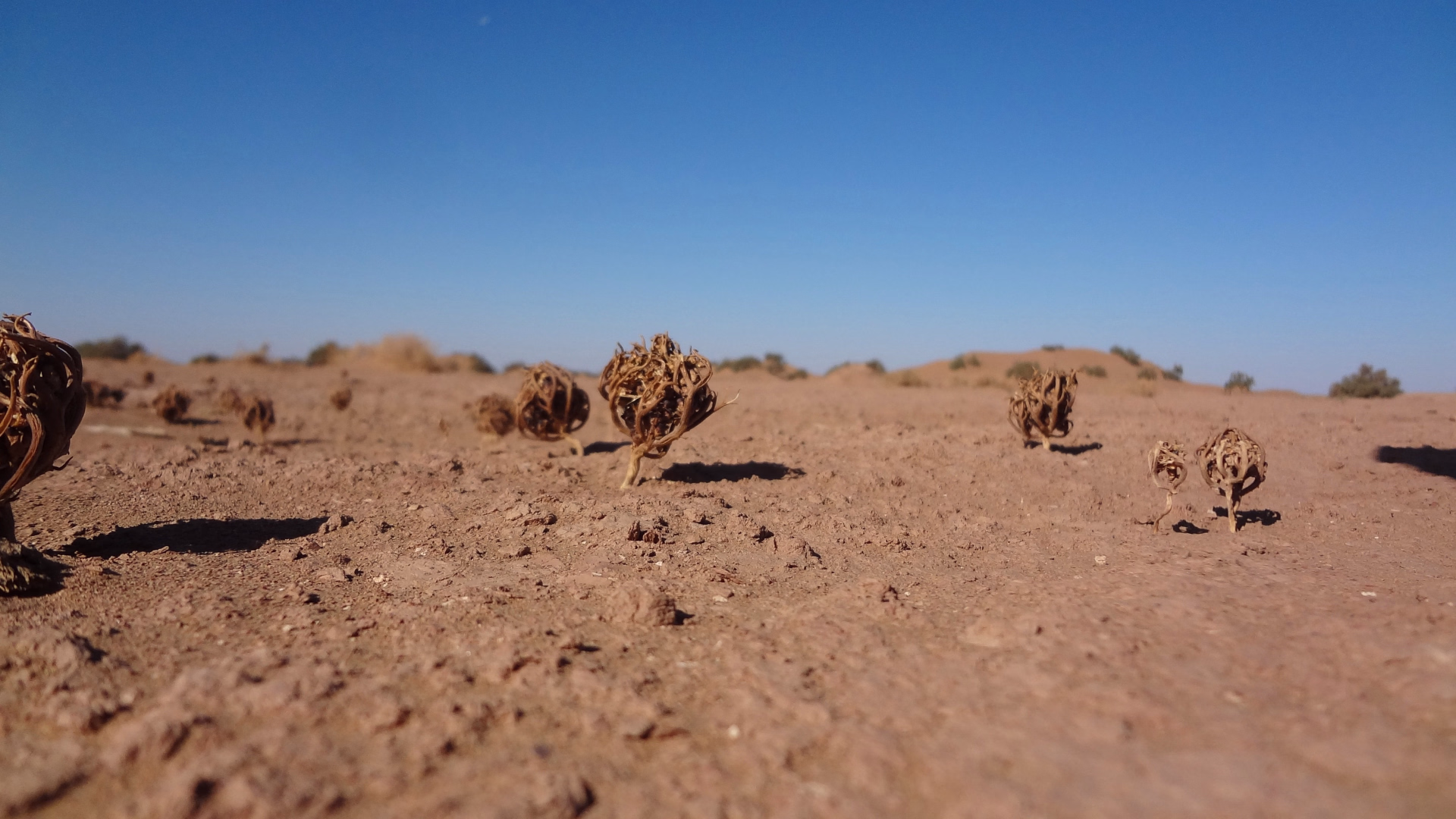 Excursion trek de 4 jours dans le désert marocain