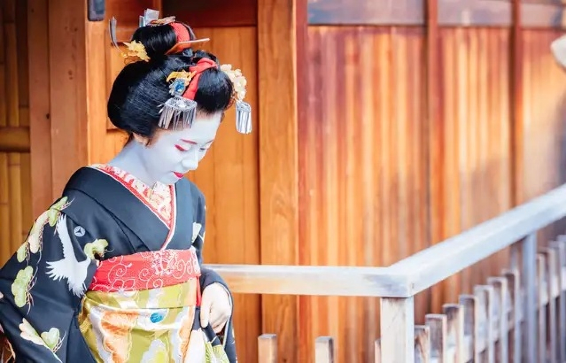 Le Japon à vélo