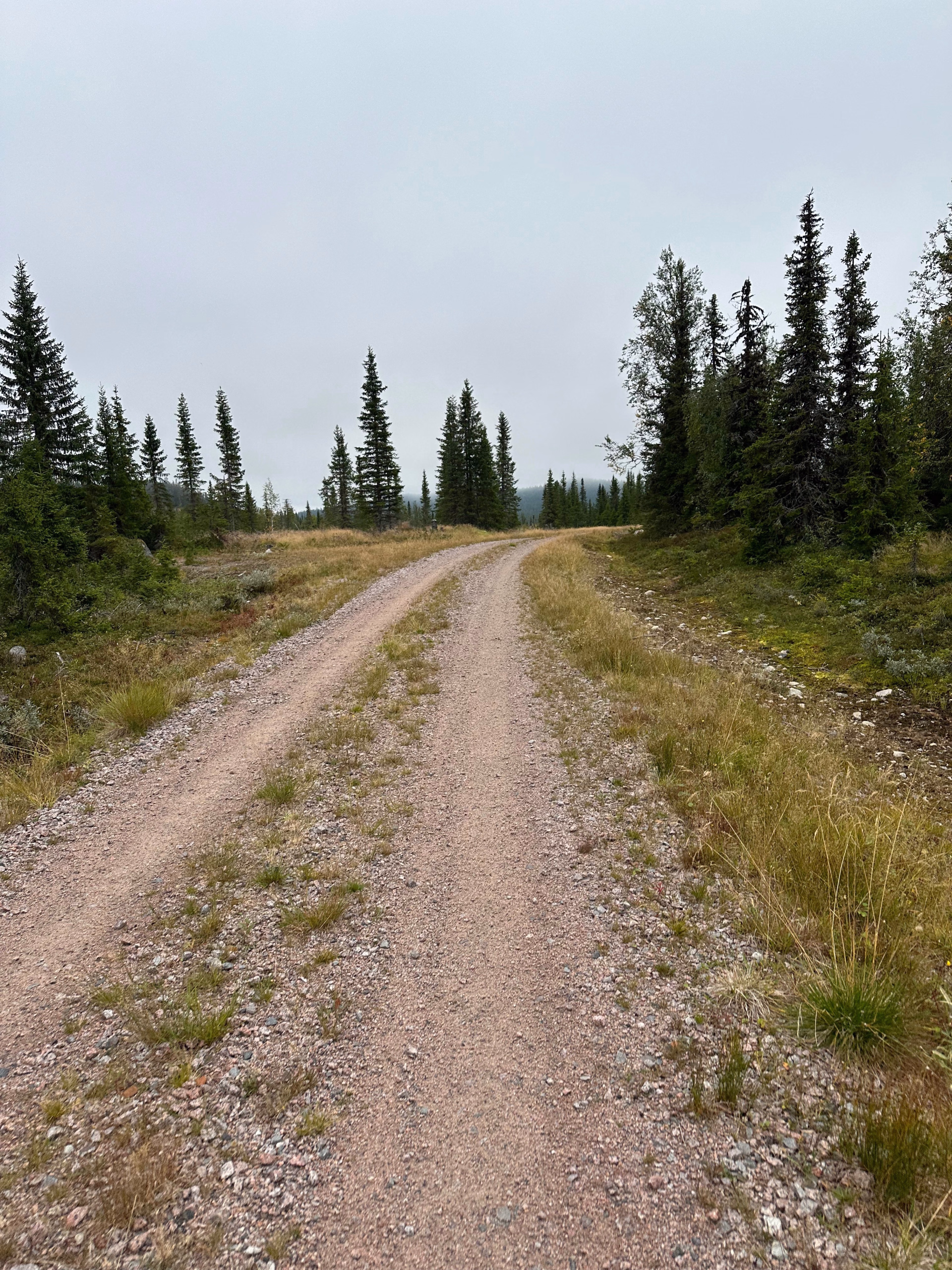 Stage gravel intensif en Laponie