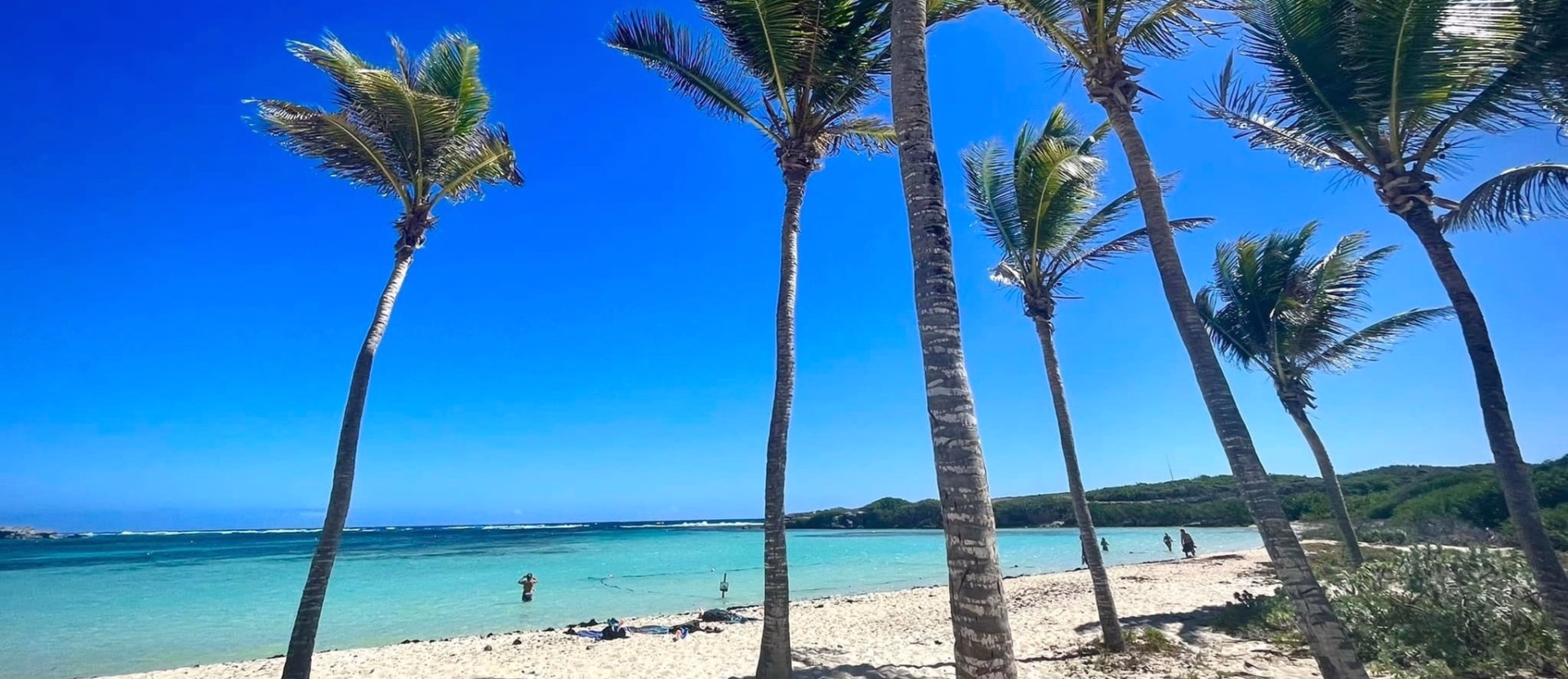 Stage catamaran de 10 jours entre la Martinique et les Grenadines