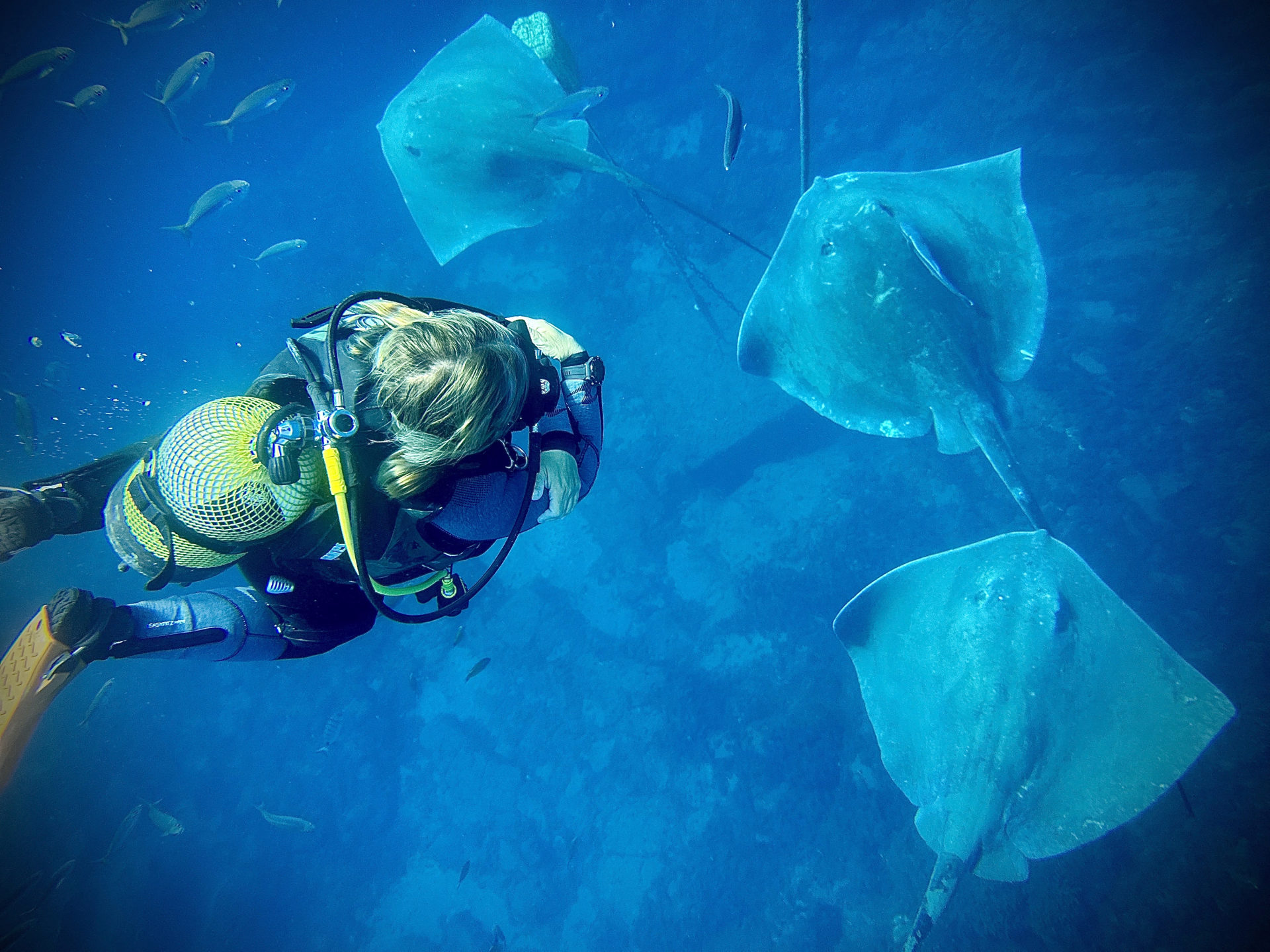 Une semaine d'exploration sous-marine à Tenerife