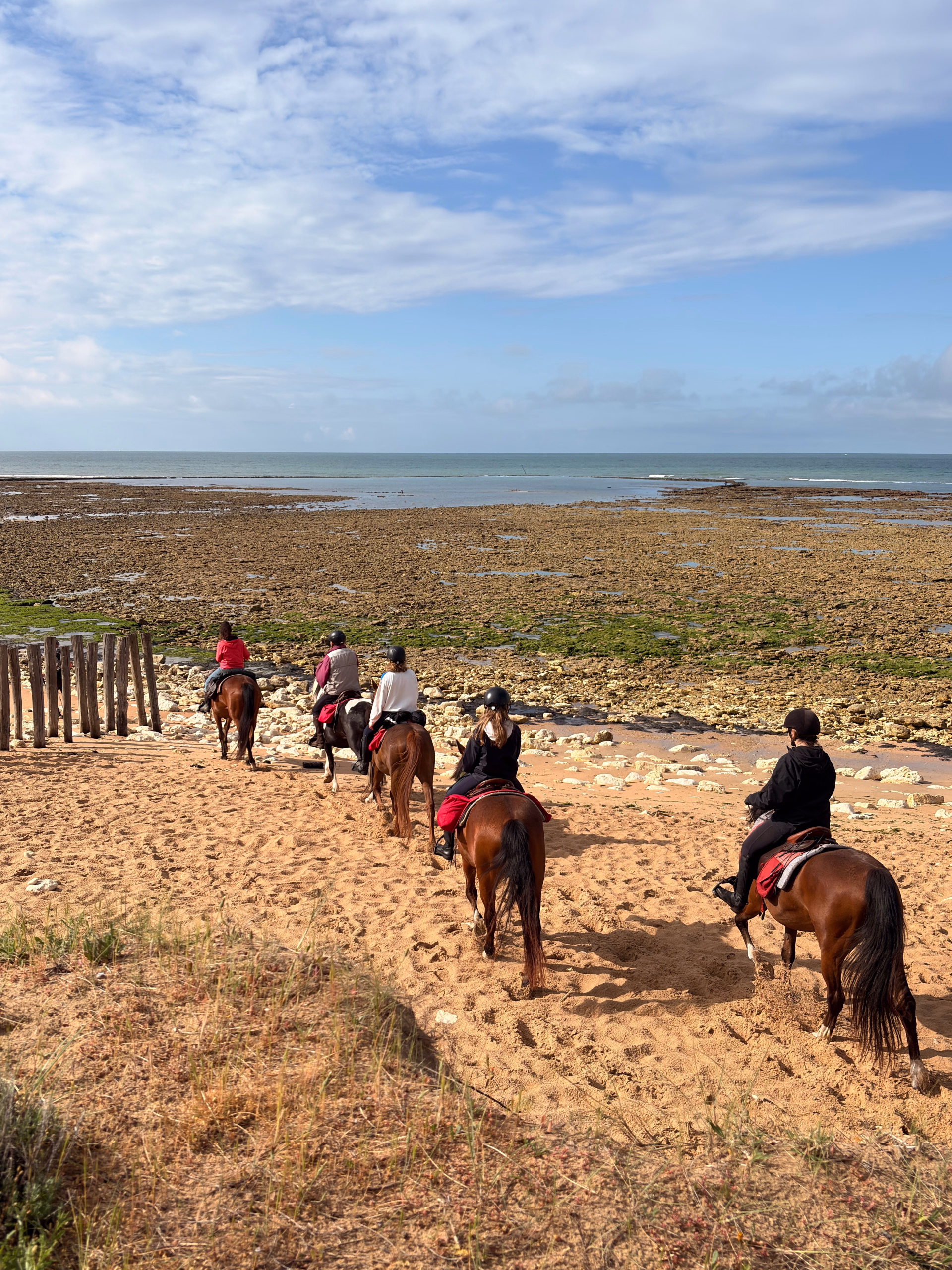 Randonnée Équestre sur l'Île d'Oléron