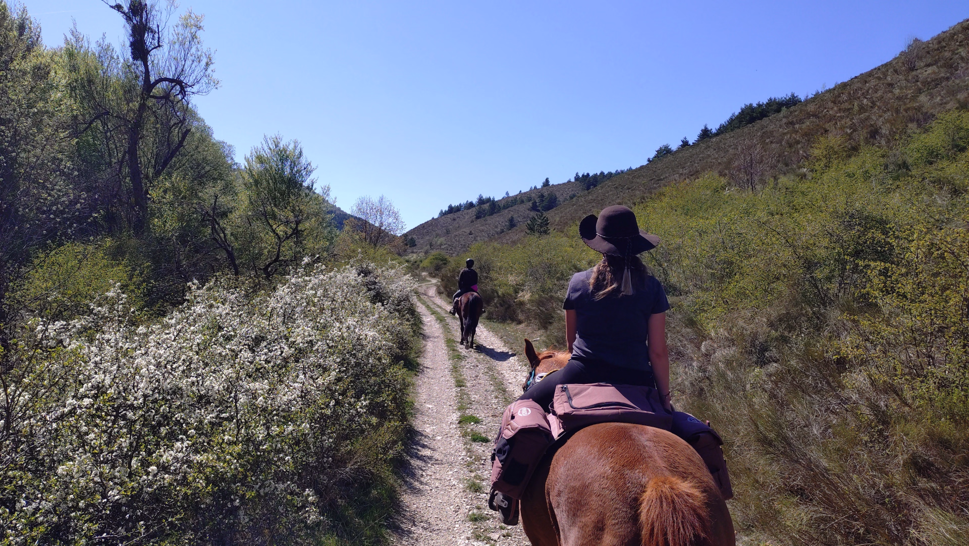 Week-end à cheval entre Baronnies et Hautes-Alpes