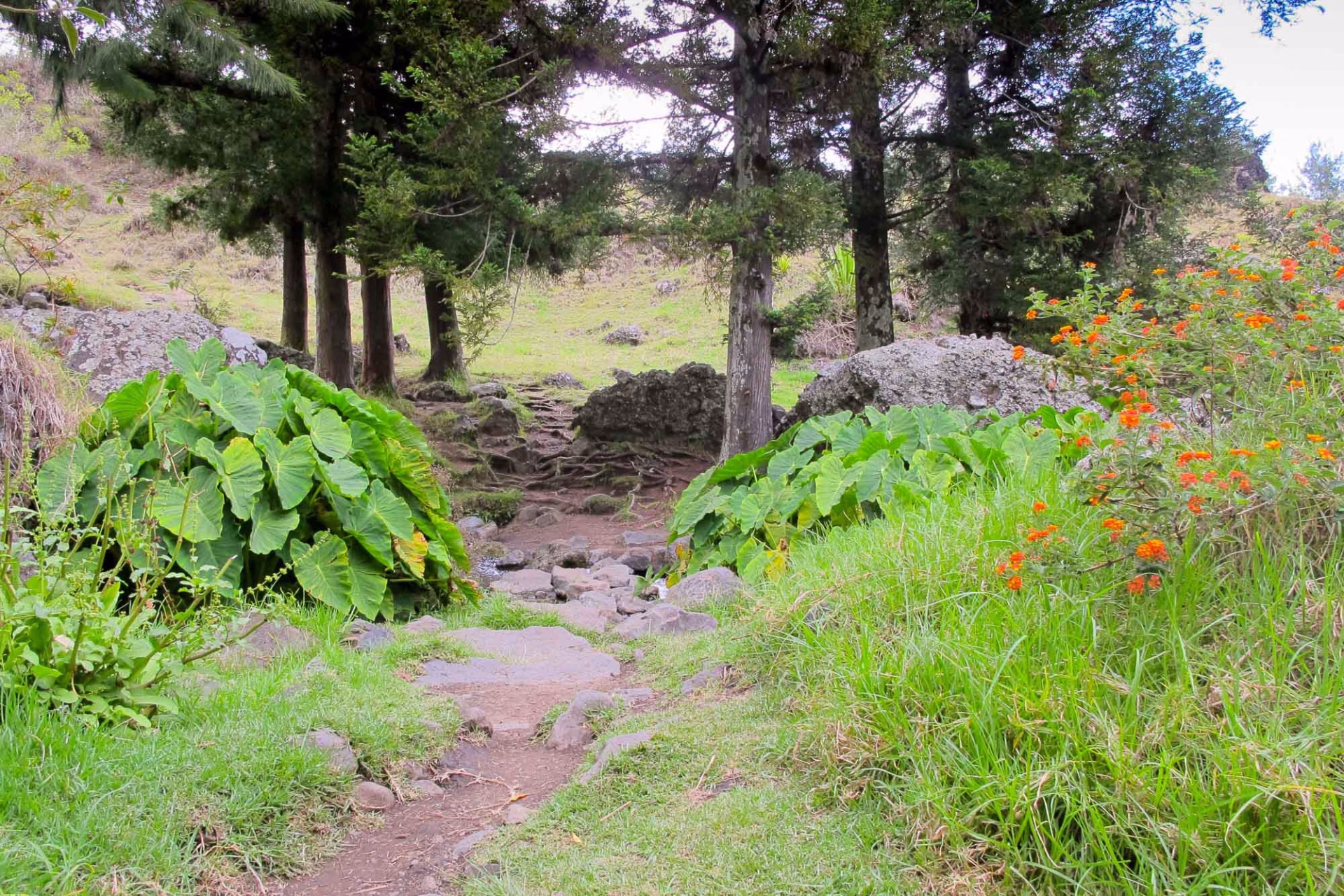 Excursion randonnée à La Réunion : La découverte du Haut Mafate