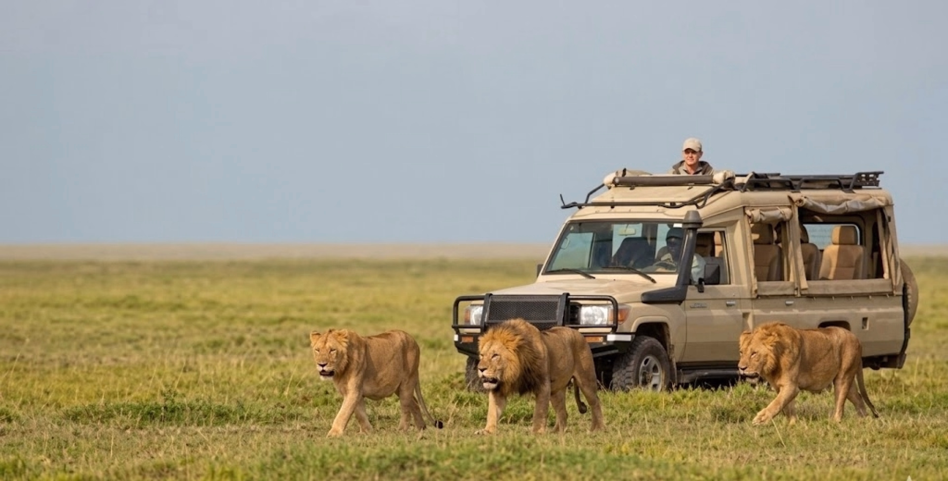 Ascension du Kilimandjaro par la voie Machame et extension balnéaire