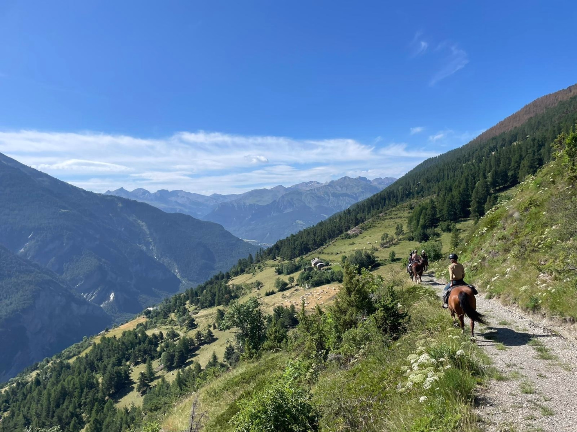 Randonnée équestre en Ubaye et tunnel du Parpaillon