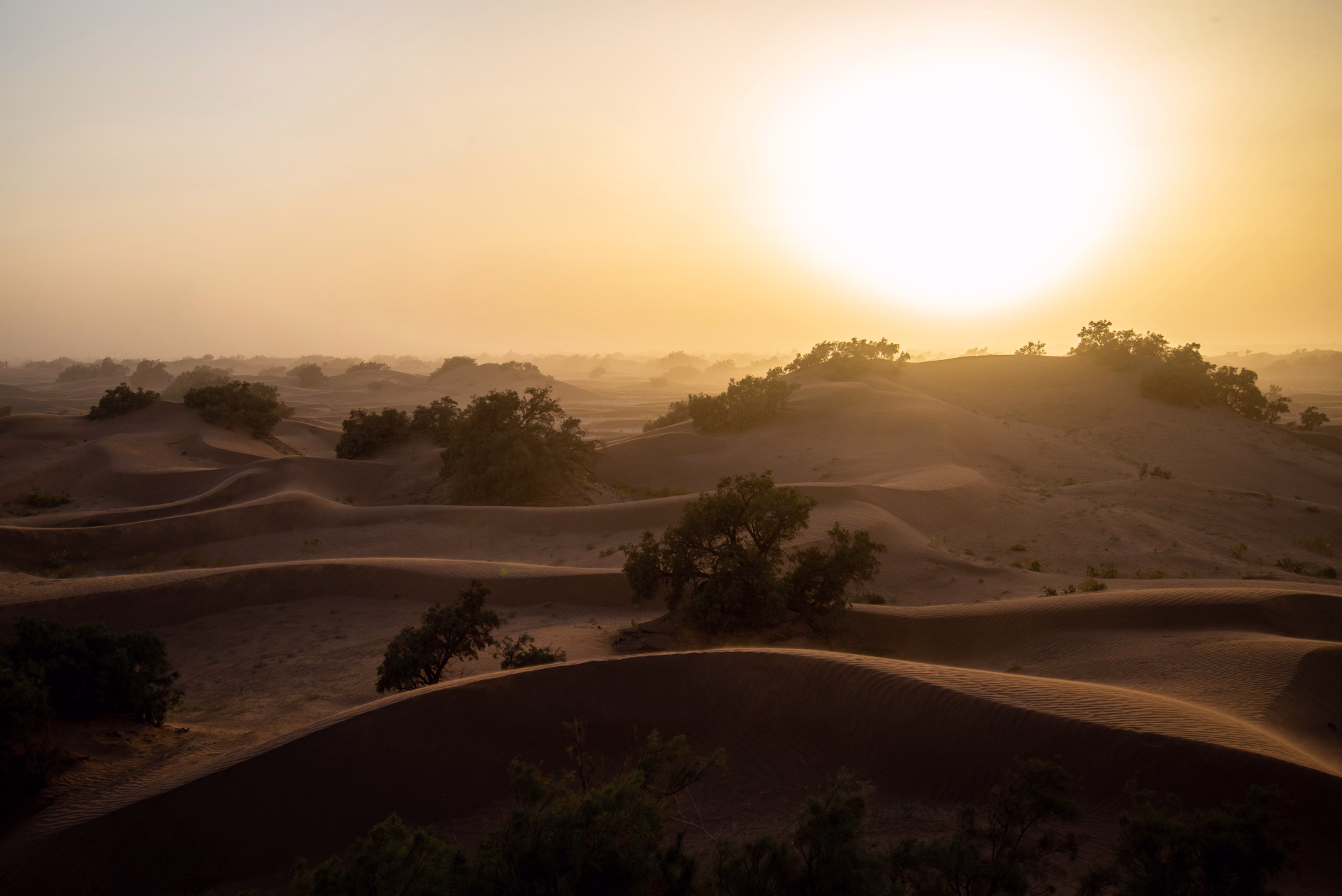 4 jours au cœur des dunes du Sahara marocain