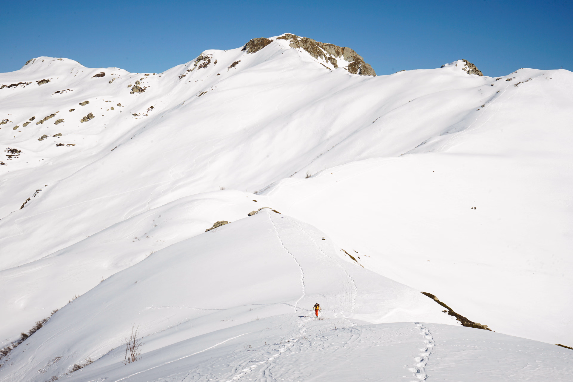 groupe de skieurs de rando