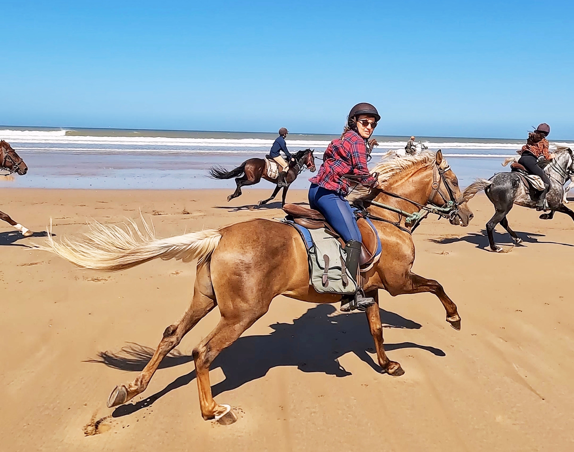 Randonnée équestre au Maroc : la Chevauchée au cœur d'Essaouira