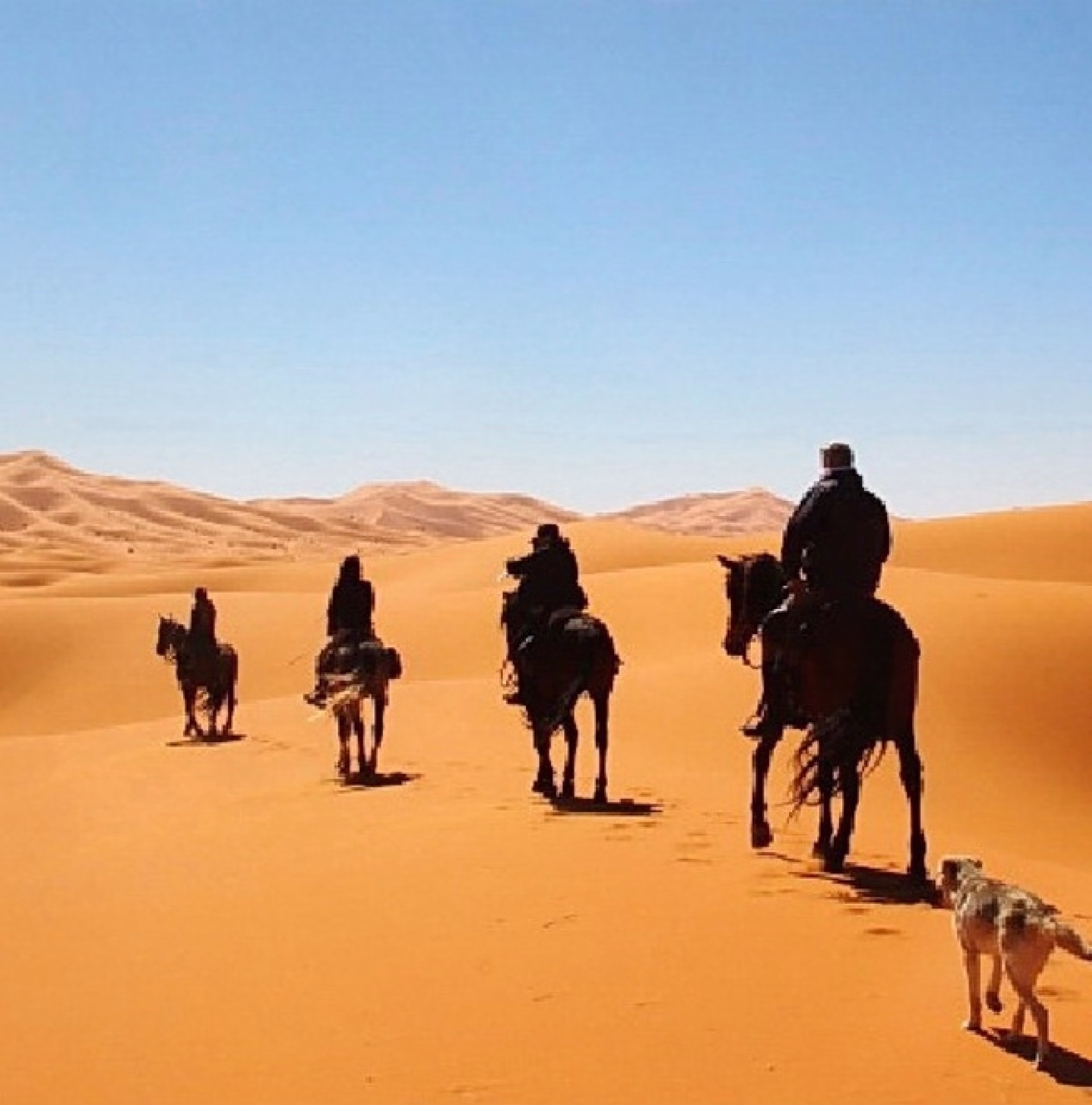 Expédition à cheval aux Portes du Sahara
