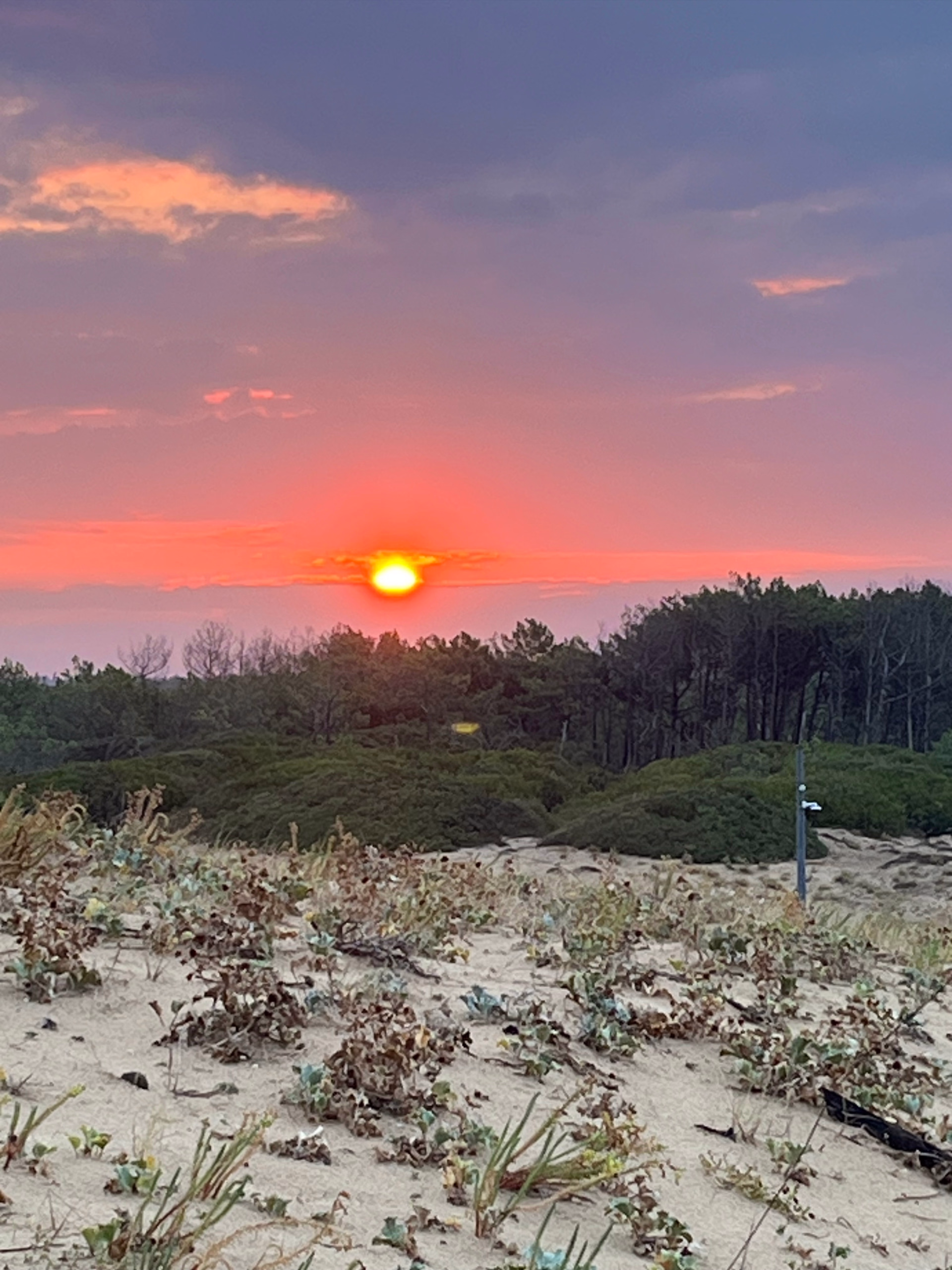 Stage de surf et villa bien-être dans les Landes