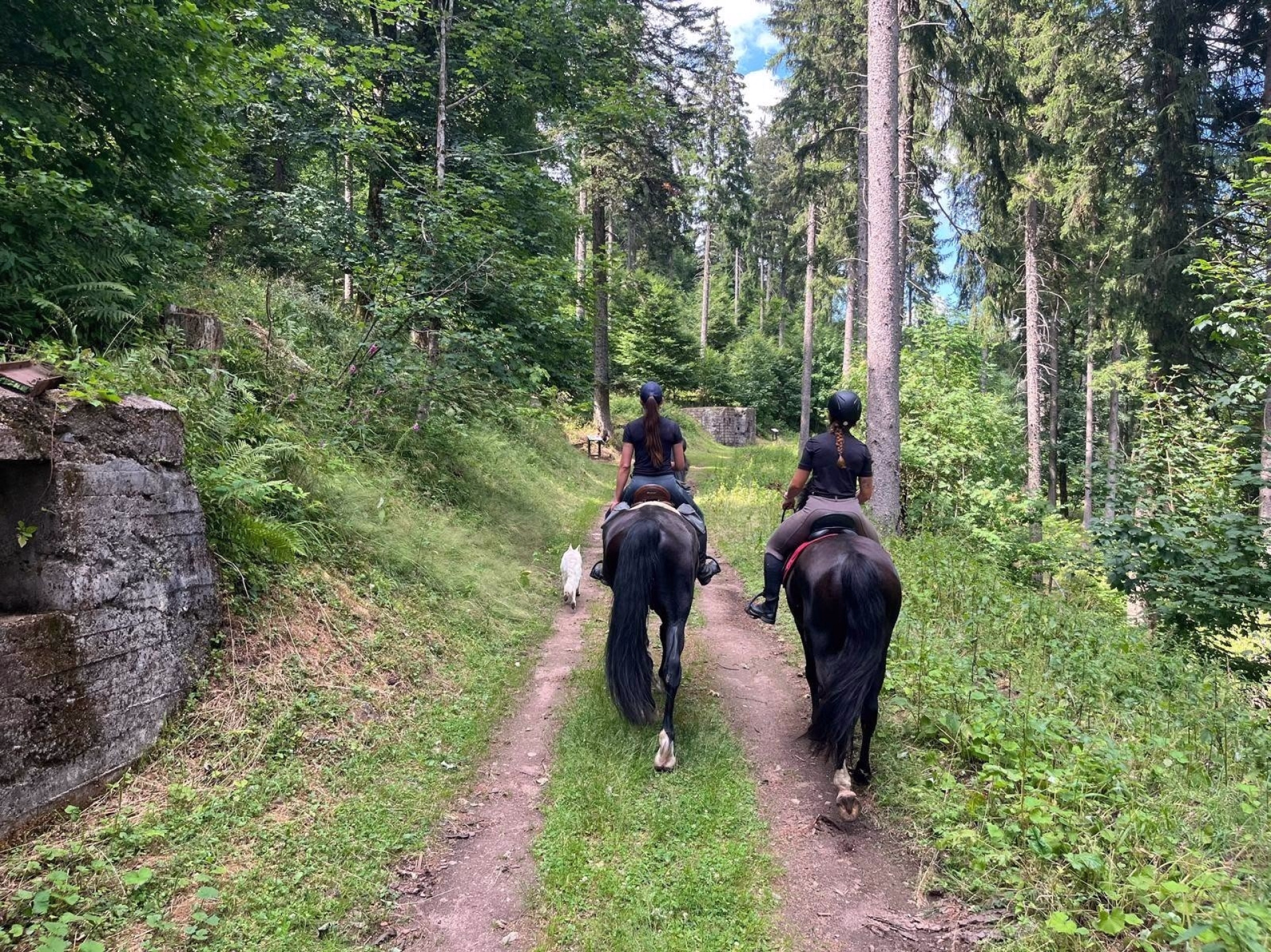Week-end équitation dans les Vosges: balades, panoramas et détente
