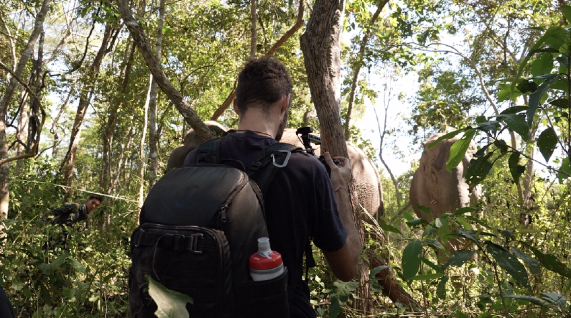 Trek, cascades et éléphants sauvages au cœur de la Thaïlande