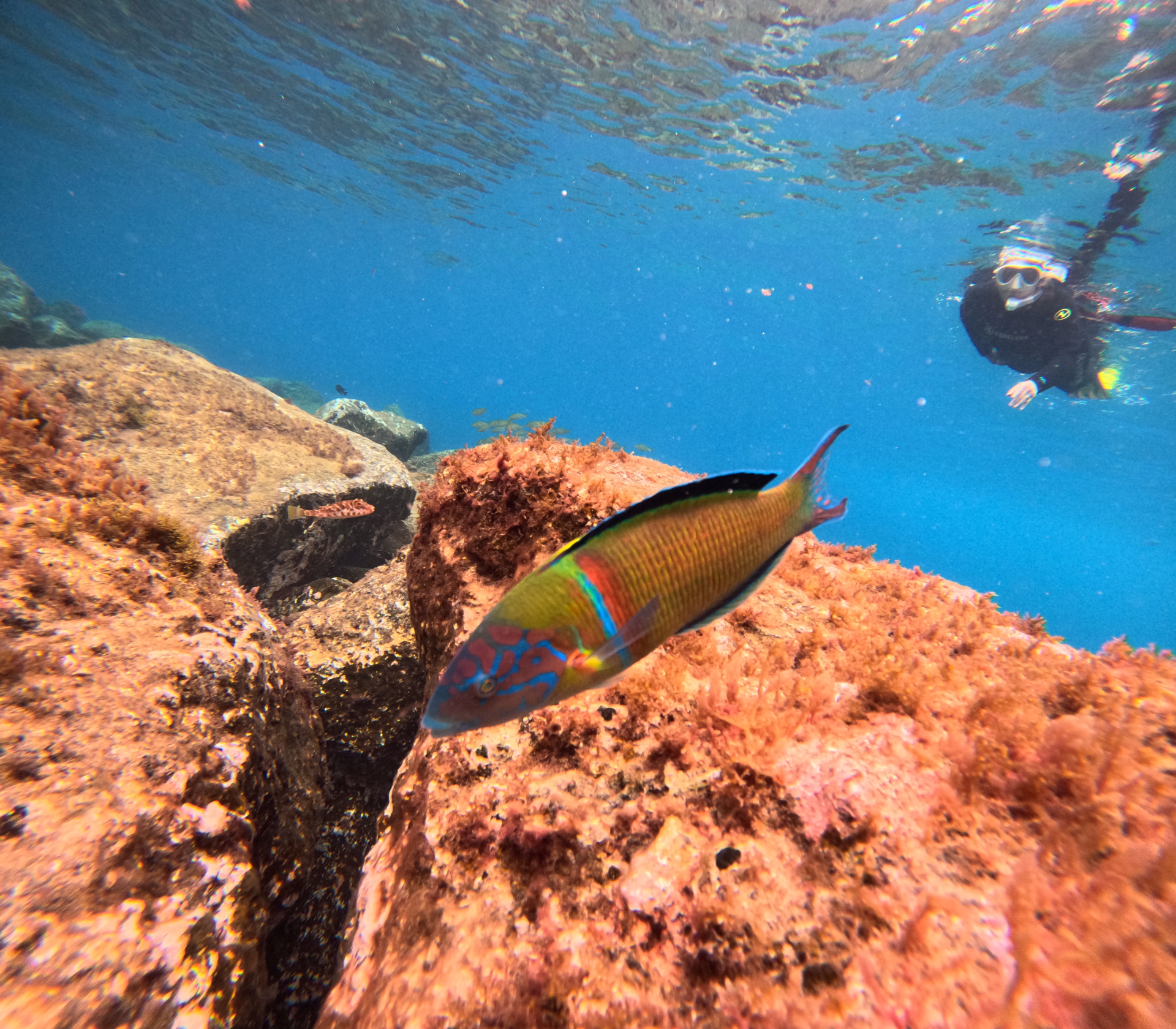 Première aventure sous-marine en famille à Tenerife
