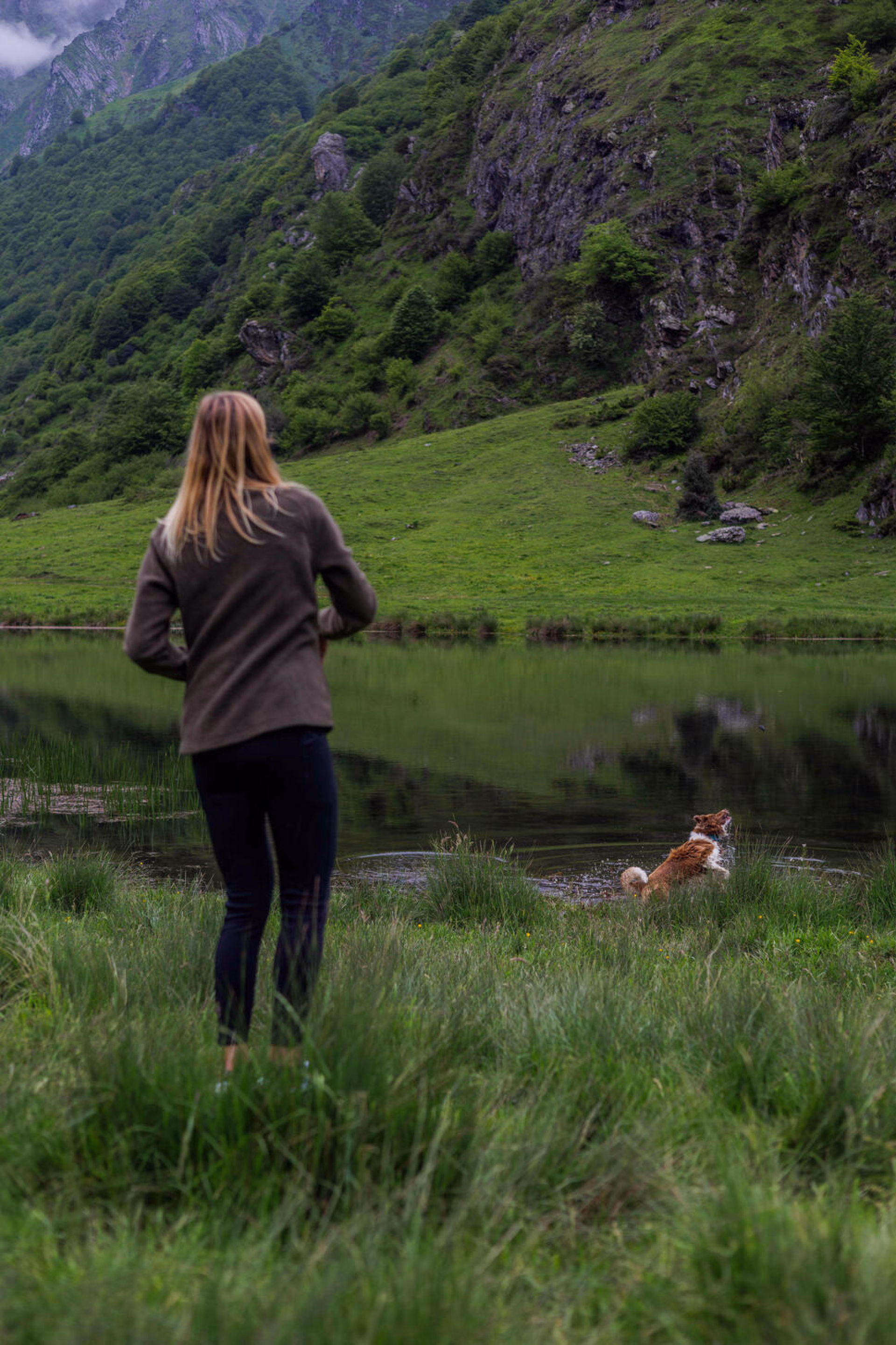 randonnée avec son chien