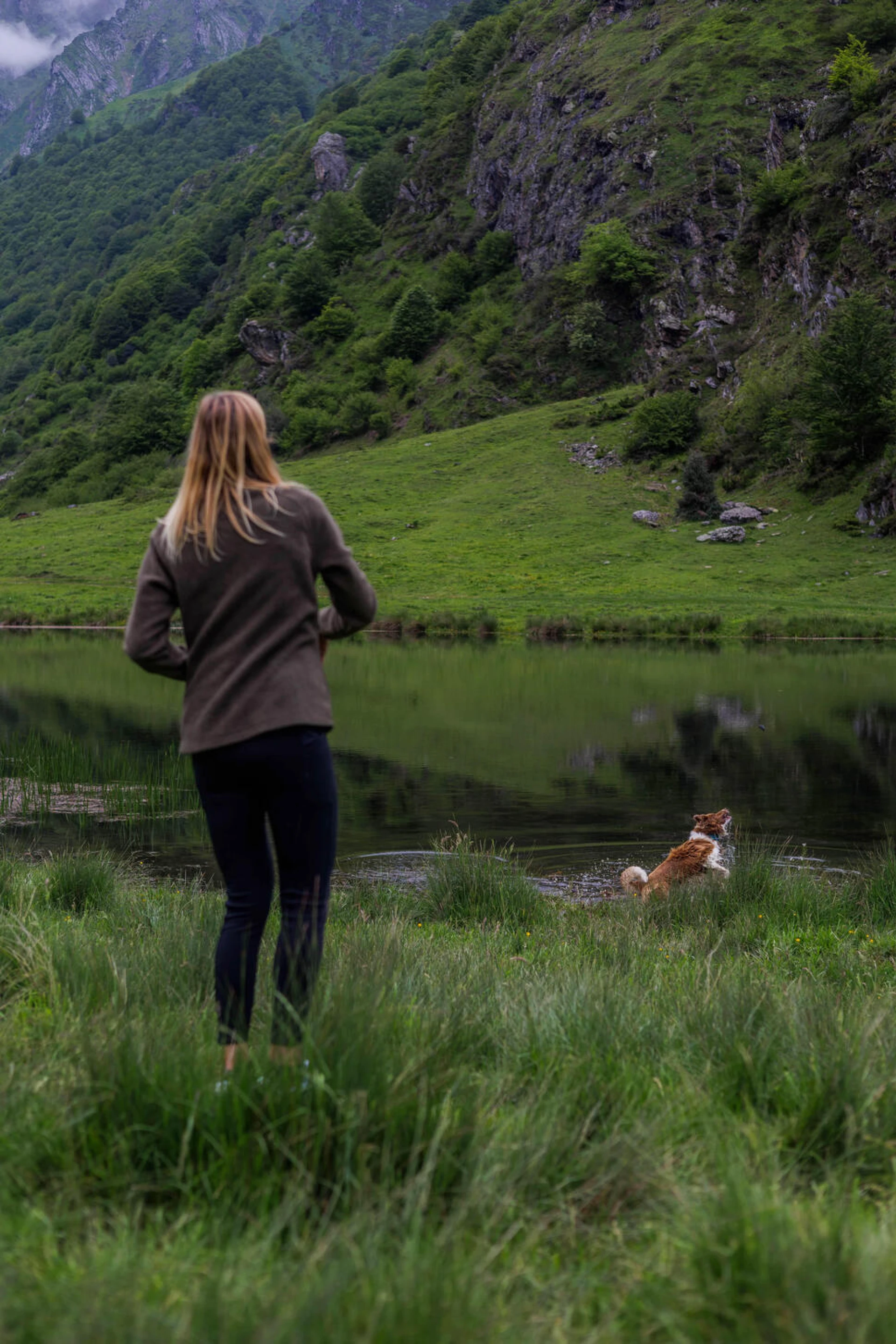 randonnée avec son chien