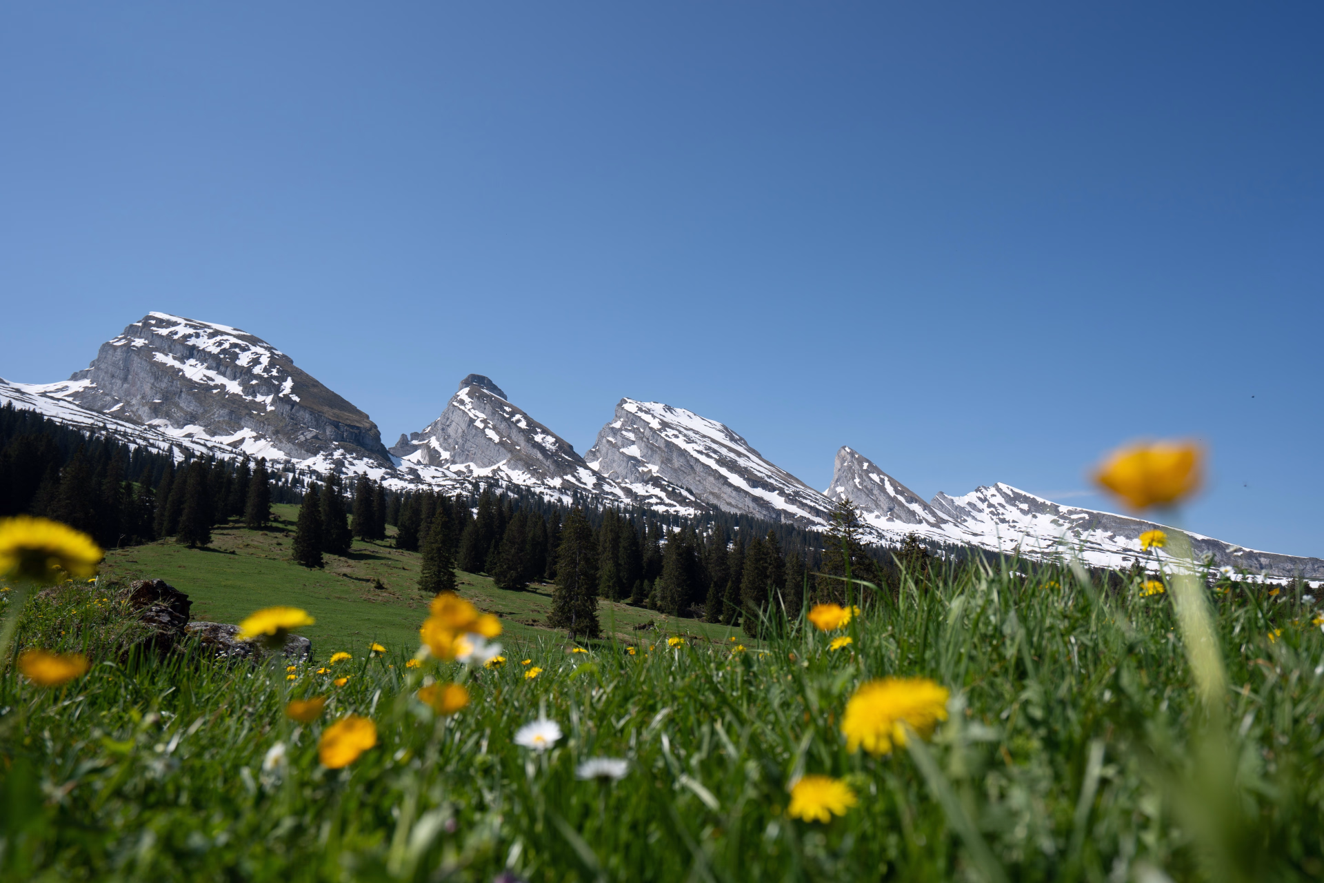 Randonnée alpine des Churfirsten au Säntis en Suisse
