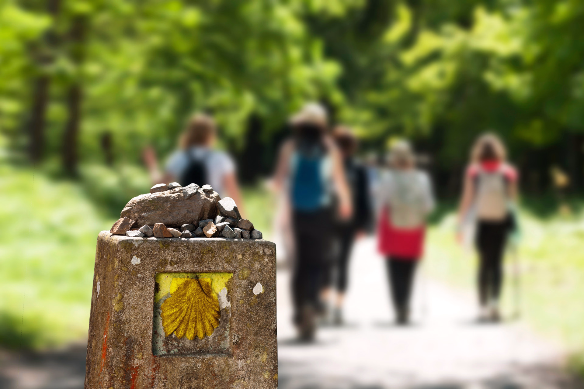 Entre Conques et Cahors sur les chemins de Compostelle
