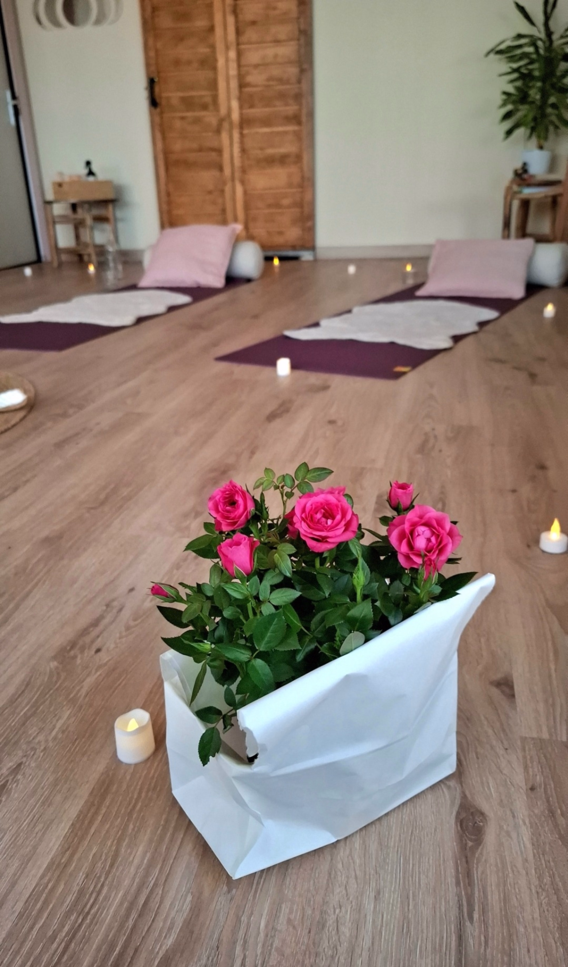 Retraite Yoga & Surf : Voyage initiatique au Maroc