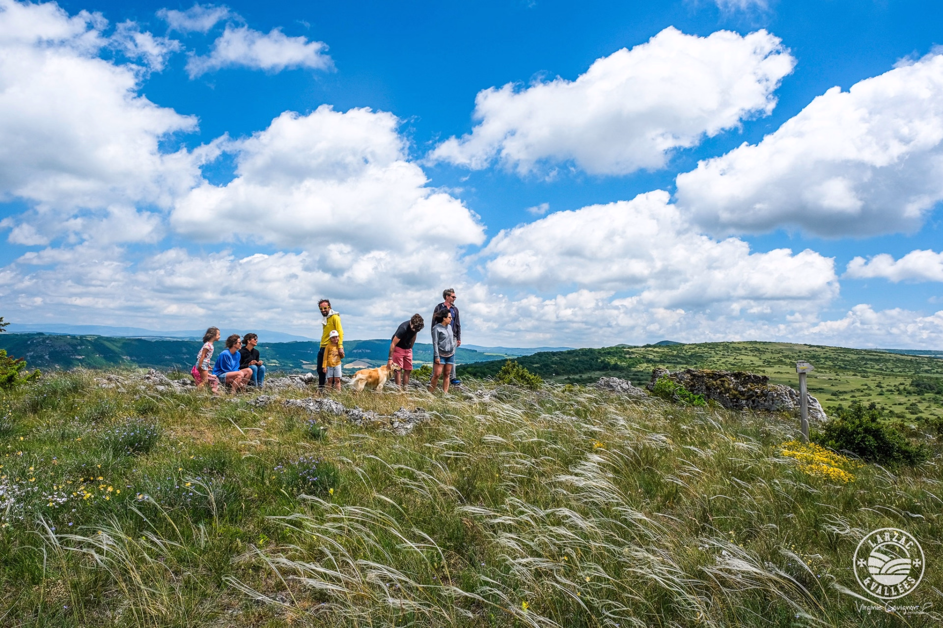 Randonnée dans les Grands Causses : du Larzac au pays Cévenol