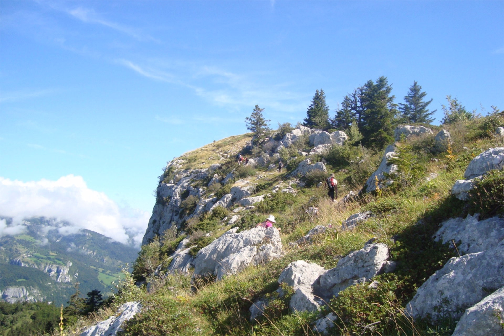 Escapade Estivale dans le Vercors