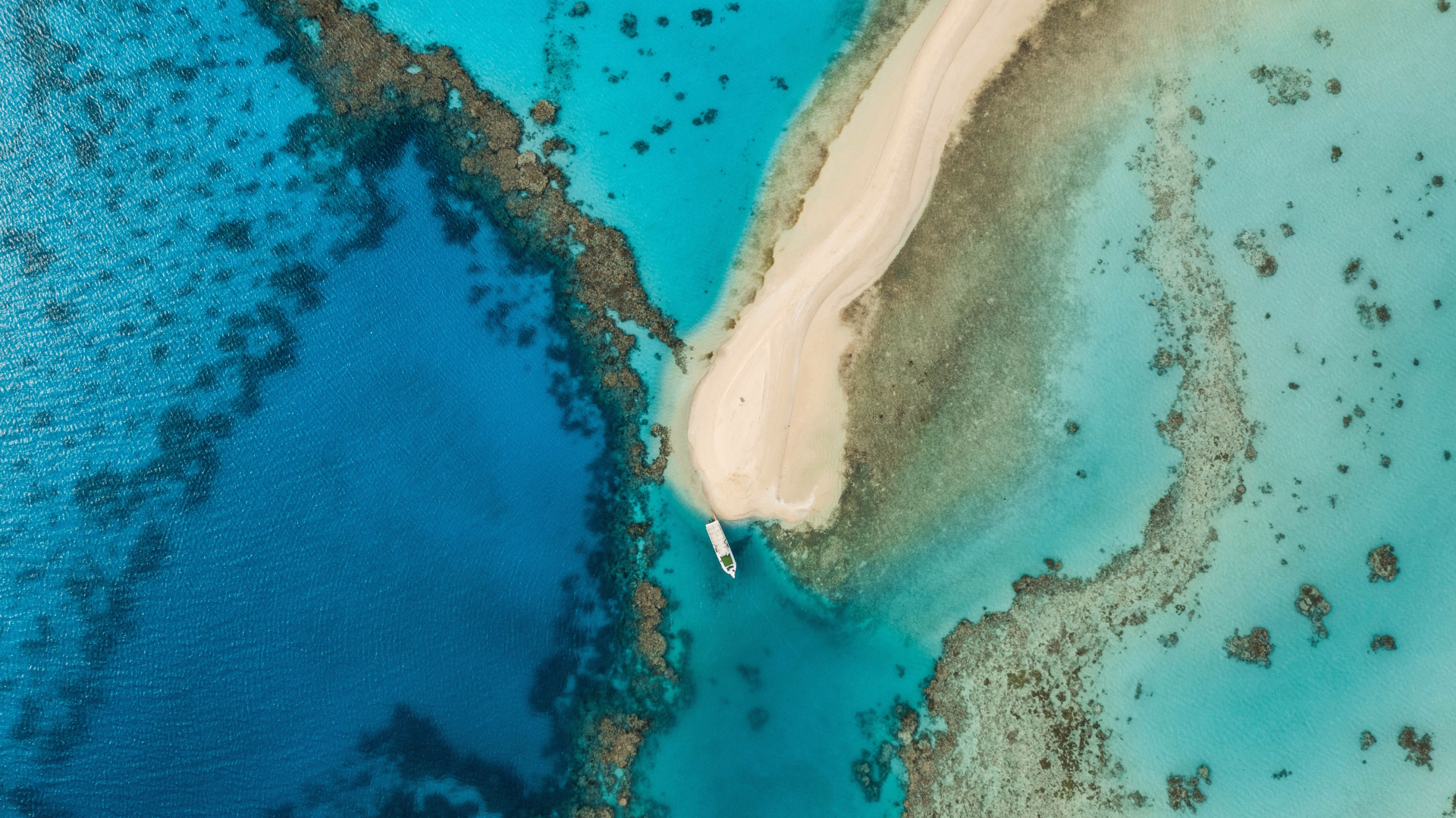 Découvrez les récifs de Marsa Alam