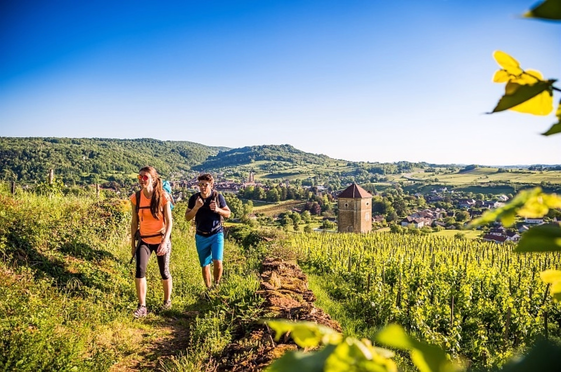 Randonnée dans les vignobles du Jura