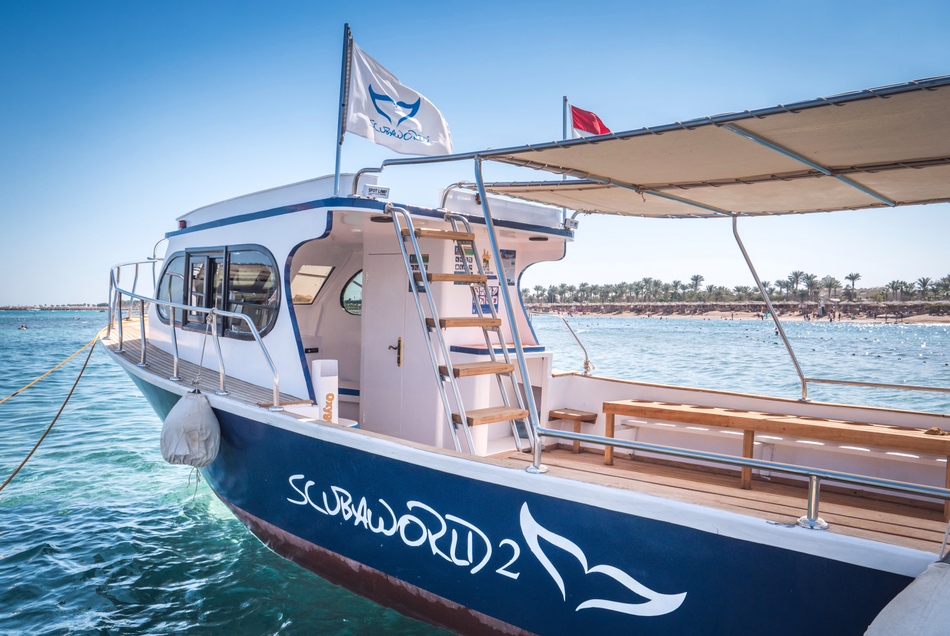 10 plongées en Mer Rouge à Soma Bay