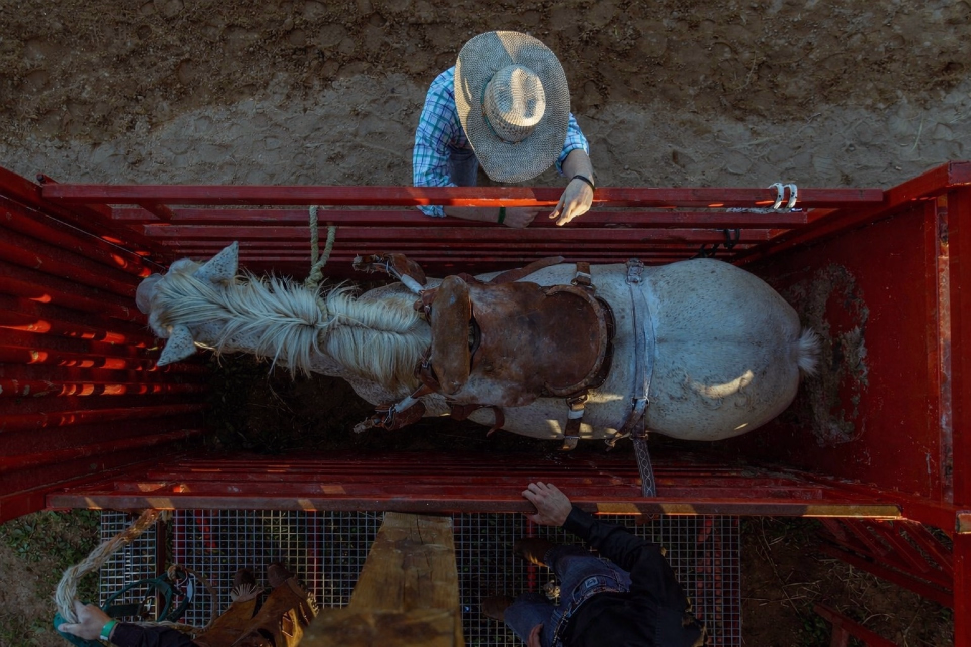 Immersion totale en ranch western en Provence verte