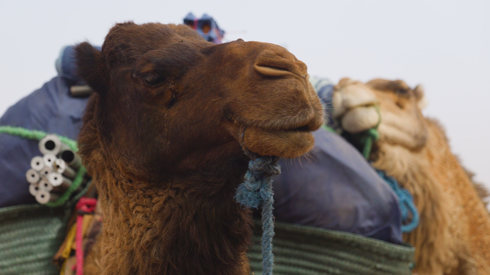 Séjour de 7 jours au départ de Marrakech : désert du Maroc et vallée