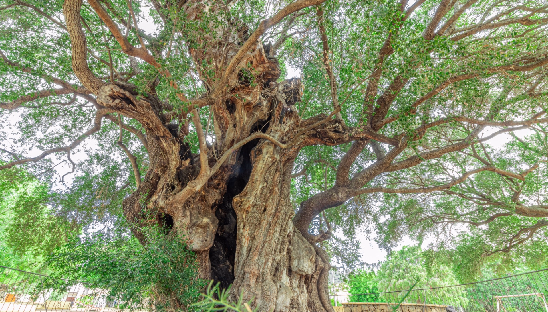 Randonnée entre falaises et criques secrètes en Sardaigne