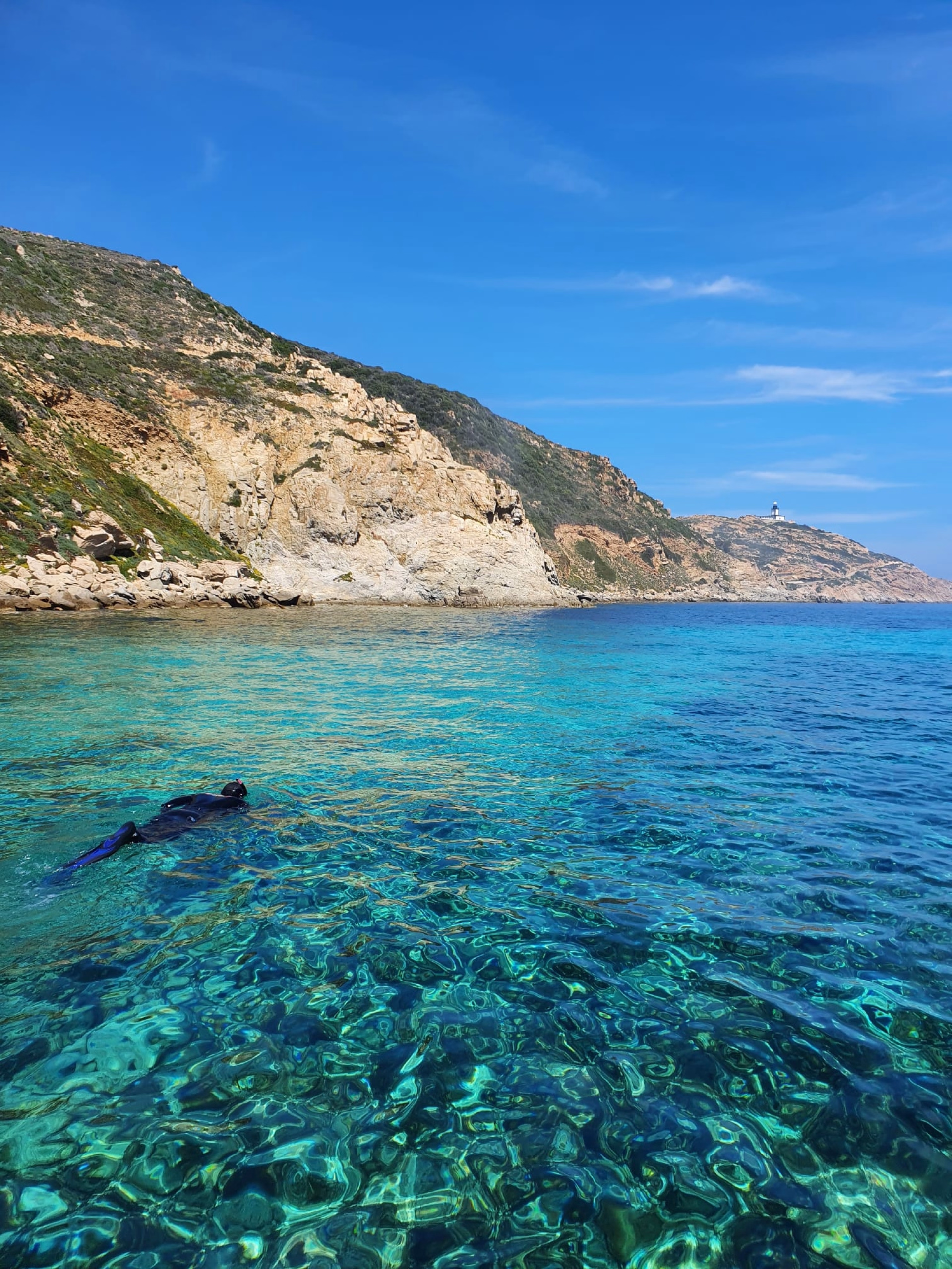 Snorkeling dans le golfe de Calvi
